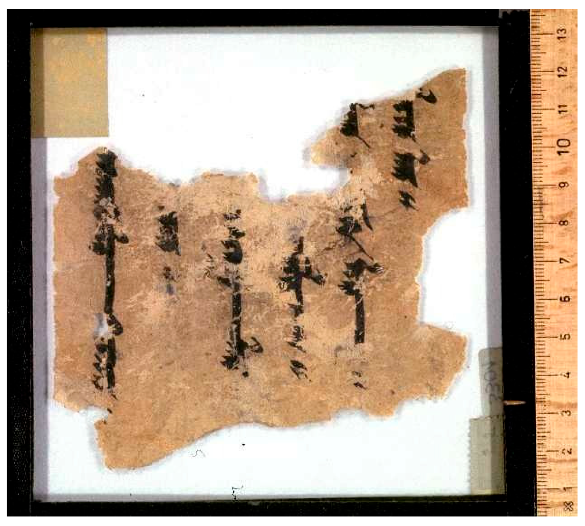 Religions 16 00899 g007