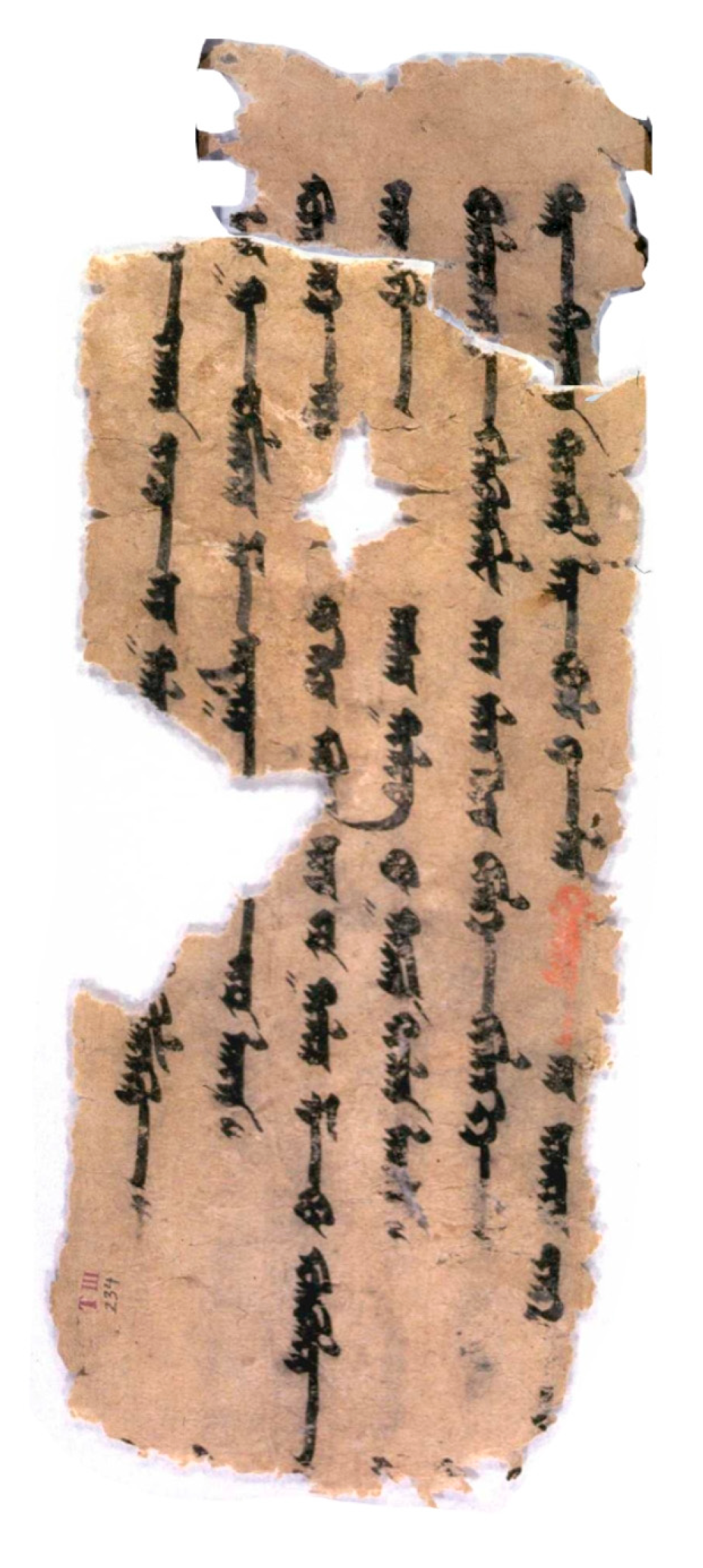 Religions 16 00899 g009