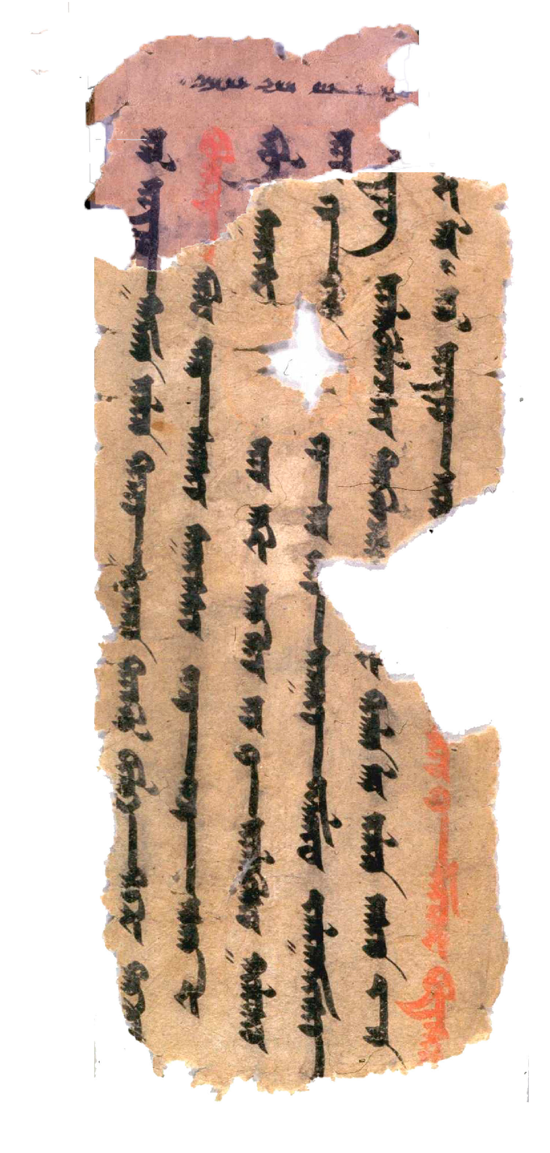 Religions 16 00899 g010