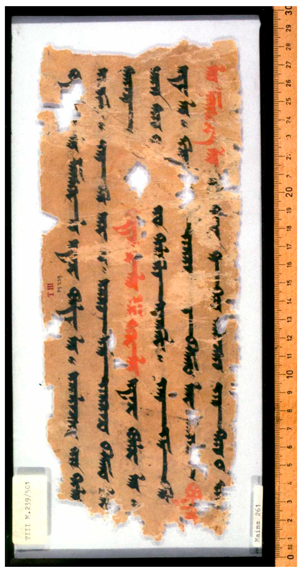 Religions 16 00899 g011