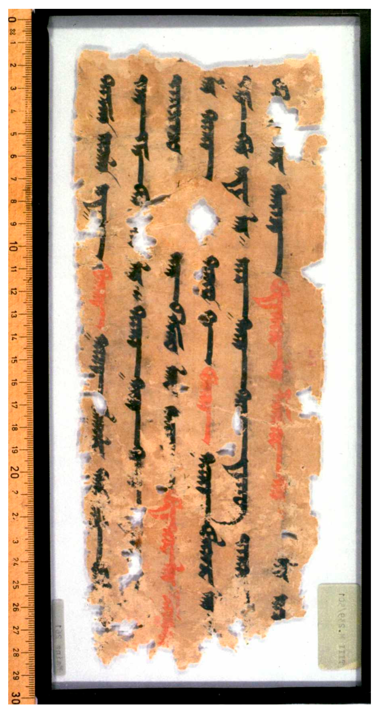 Religions 16 00899 g012