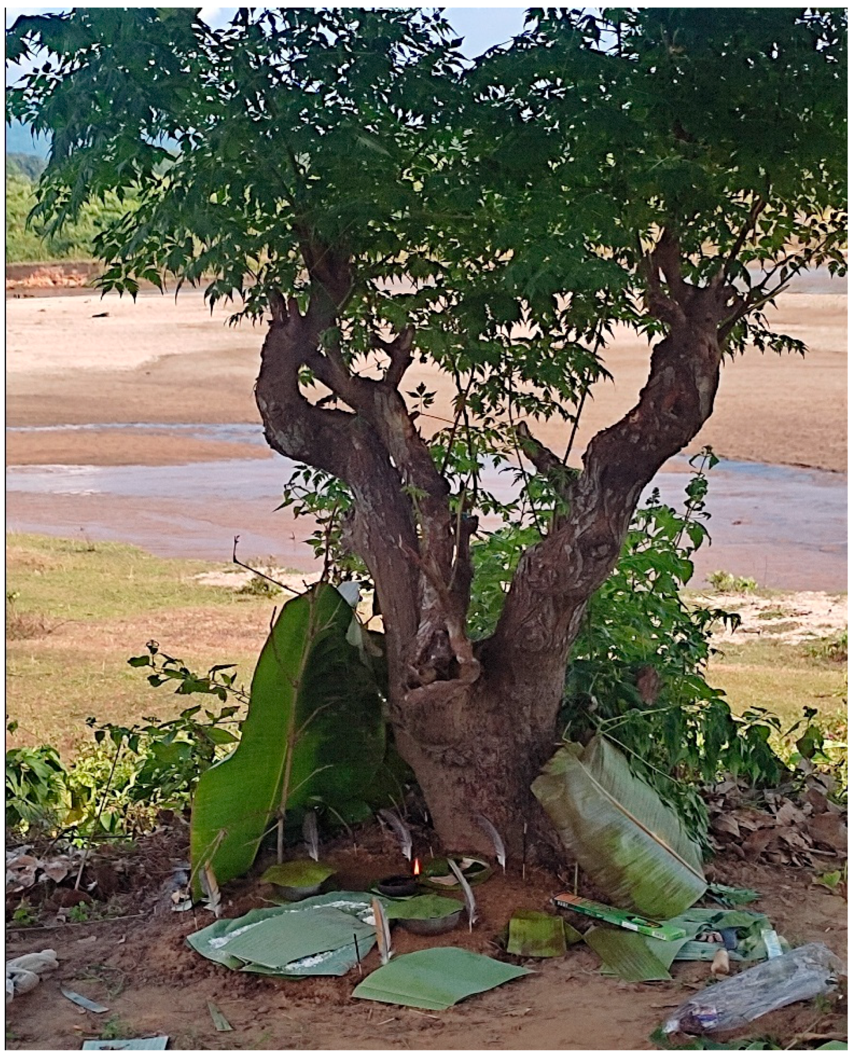 Religions 16 01123 g002