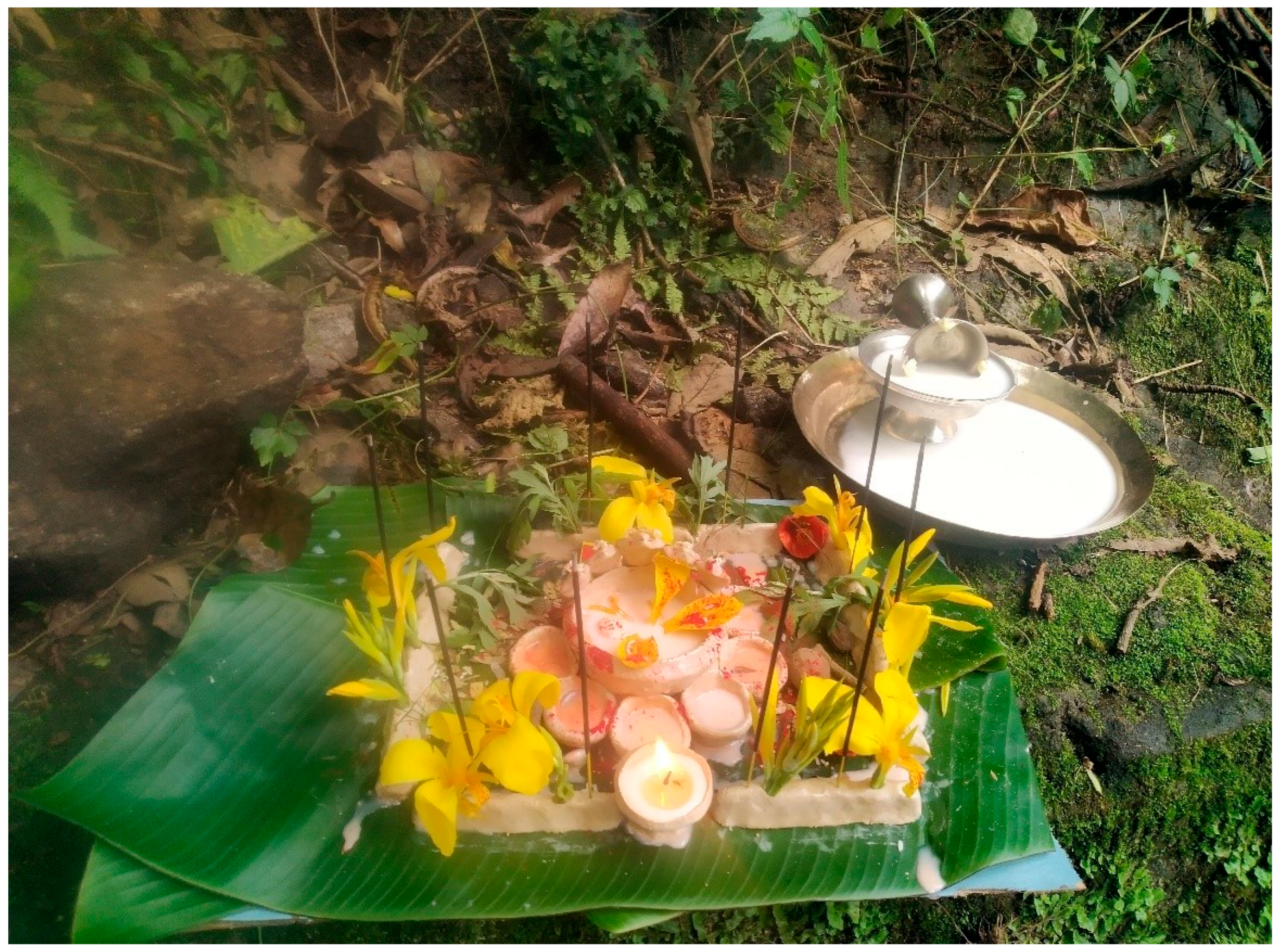 Religions 16 01123 g004