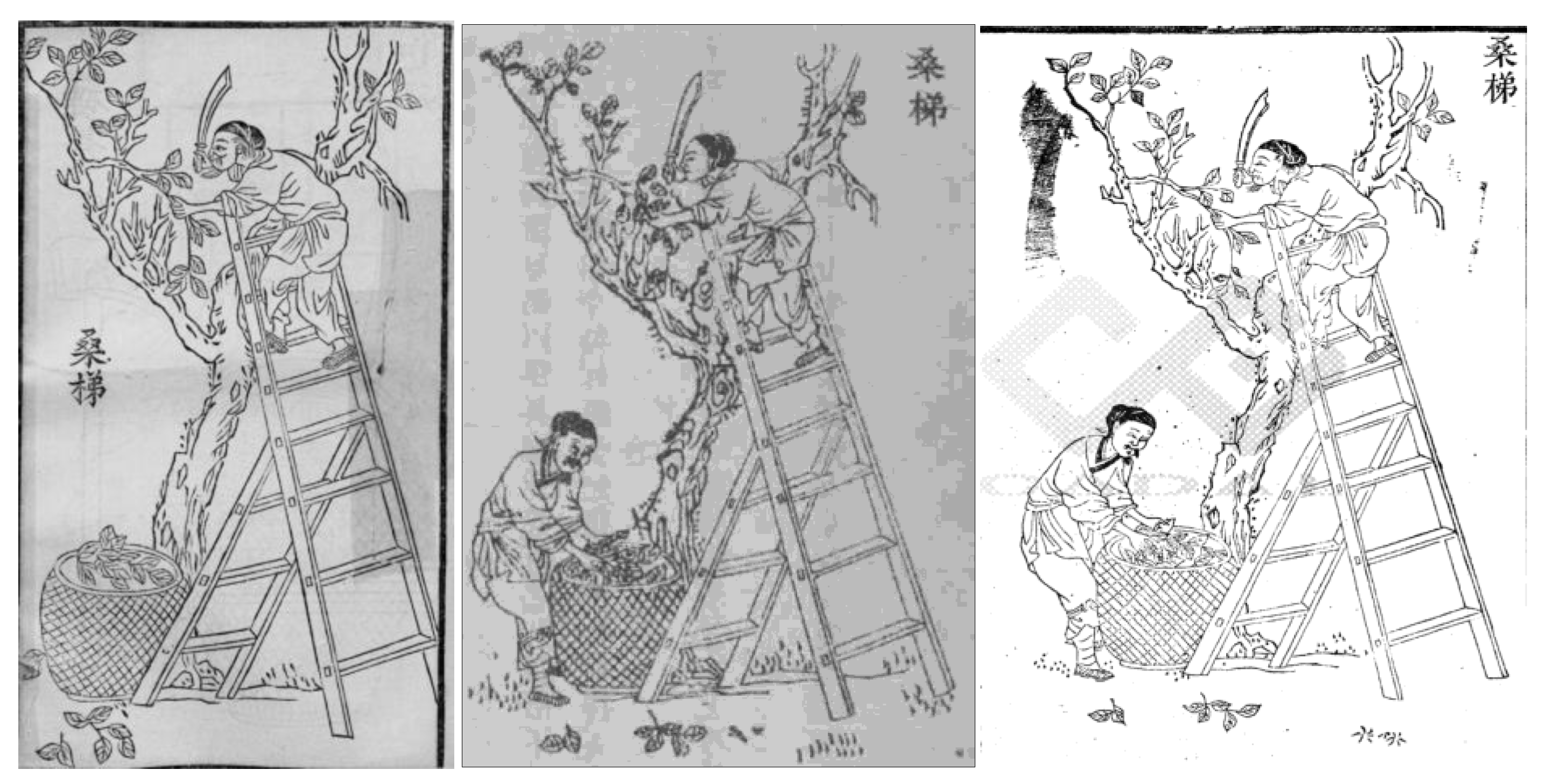 Religions 16 01156 g001 Religions 16 01156 g001