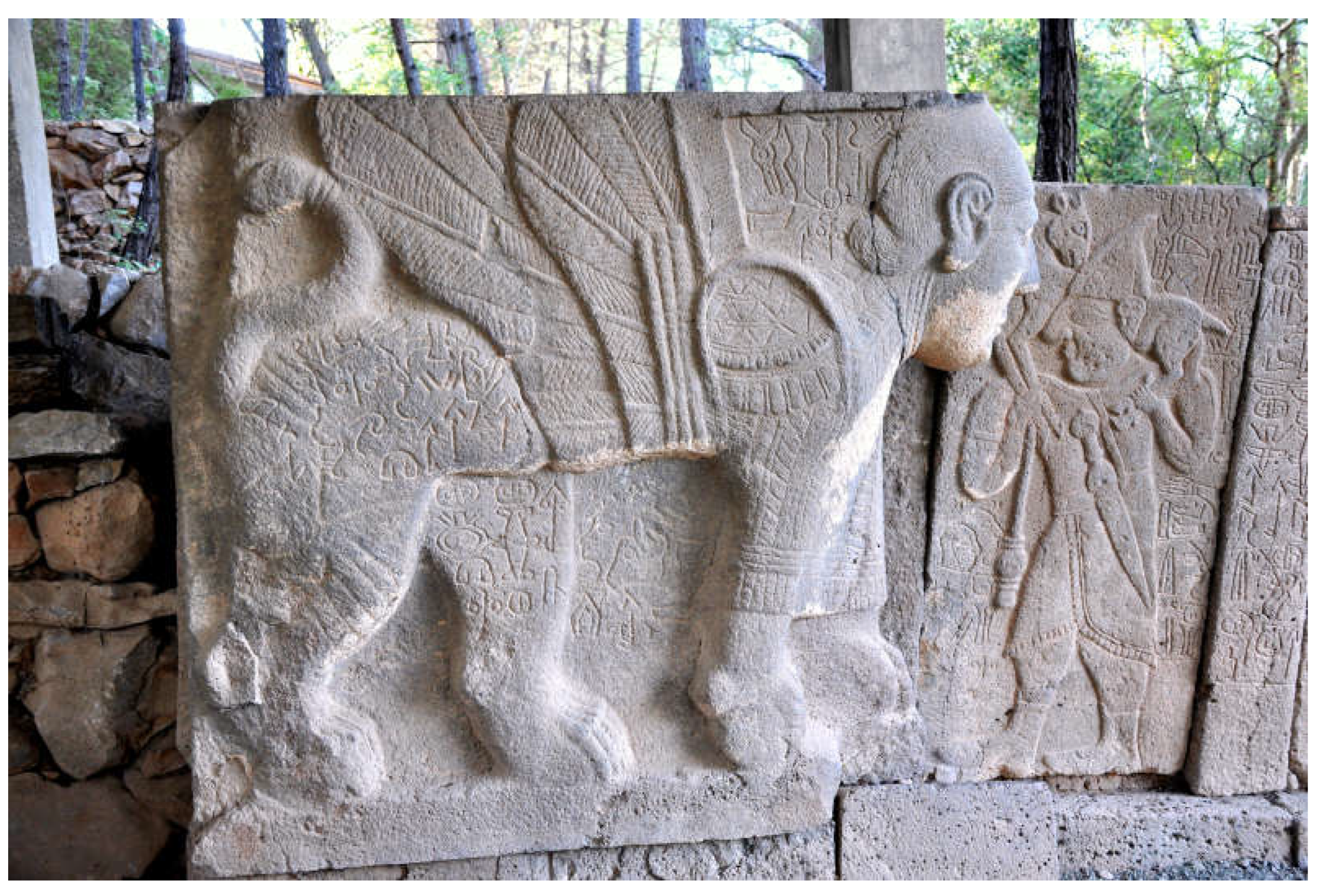 Religions 16 01178 g006 Religions 16 01178 g006