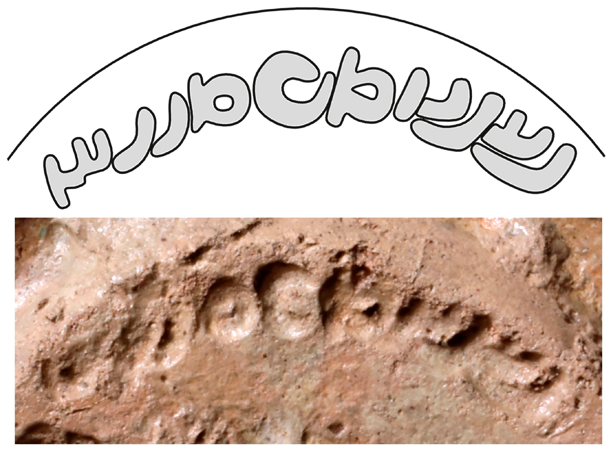 Religions 16 01359 g008