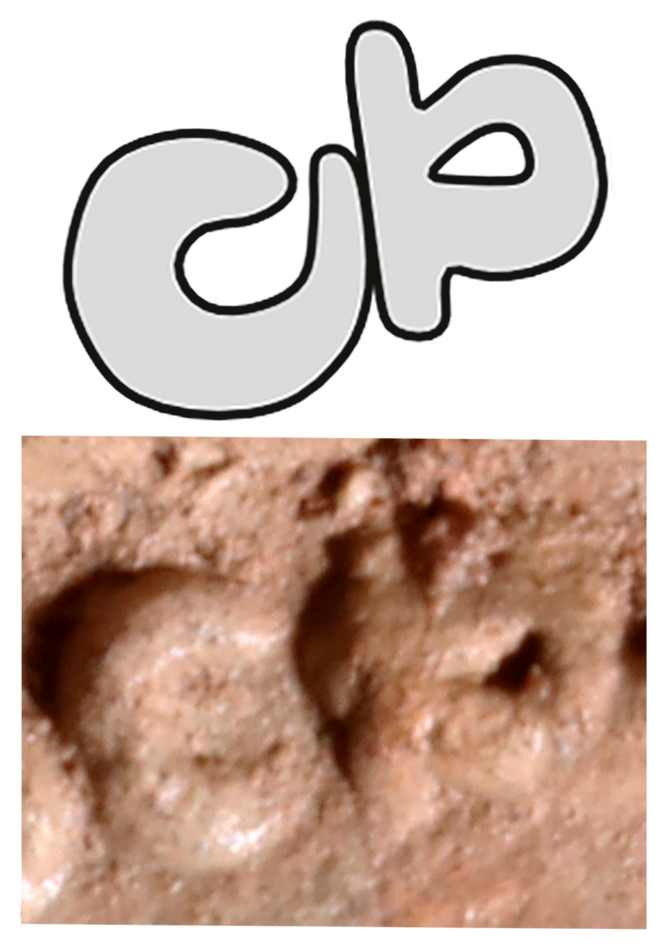 Religions 16 01359 g009