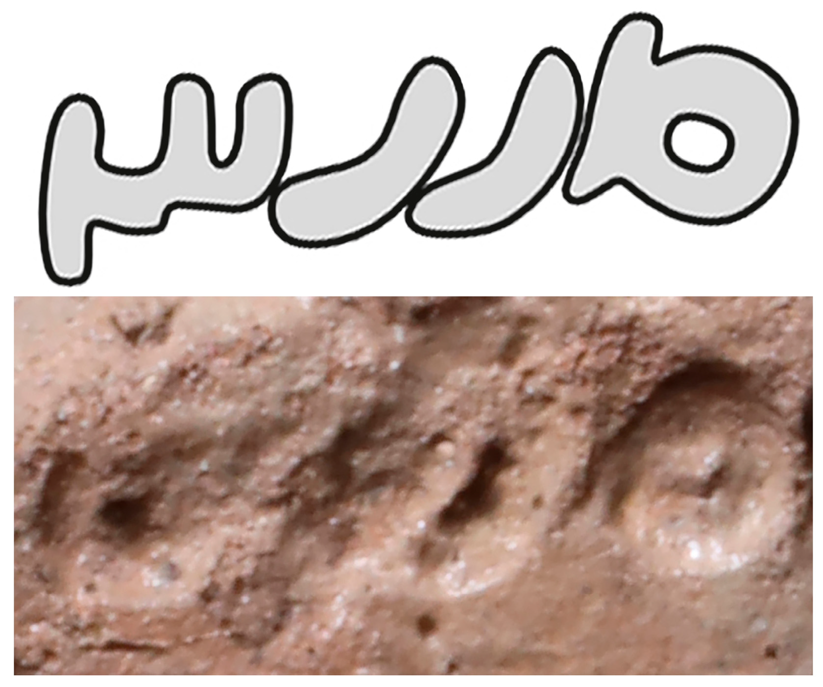 Religions 16 01359 g010