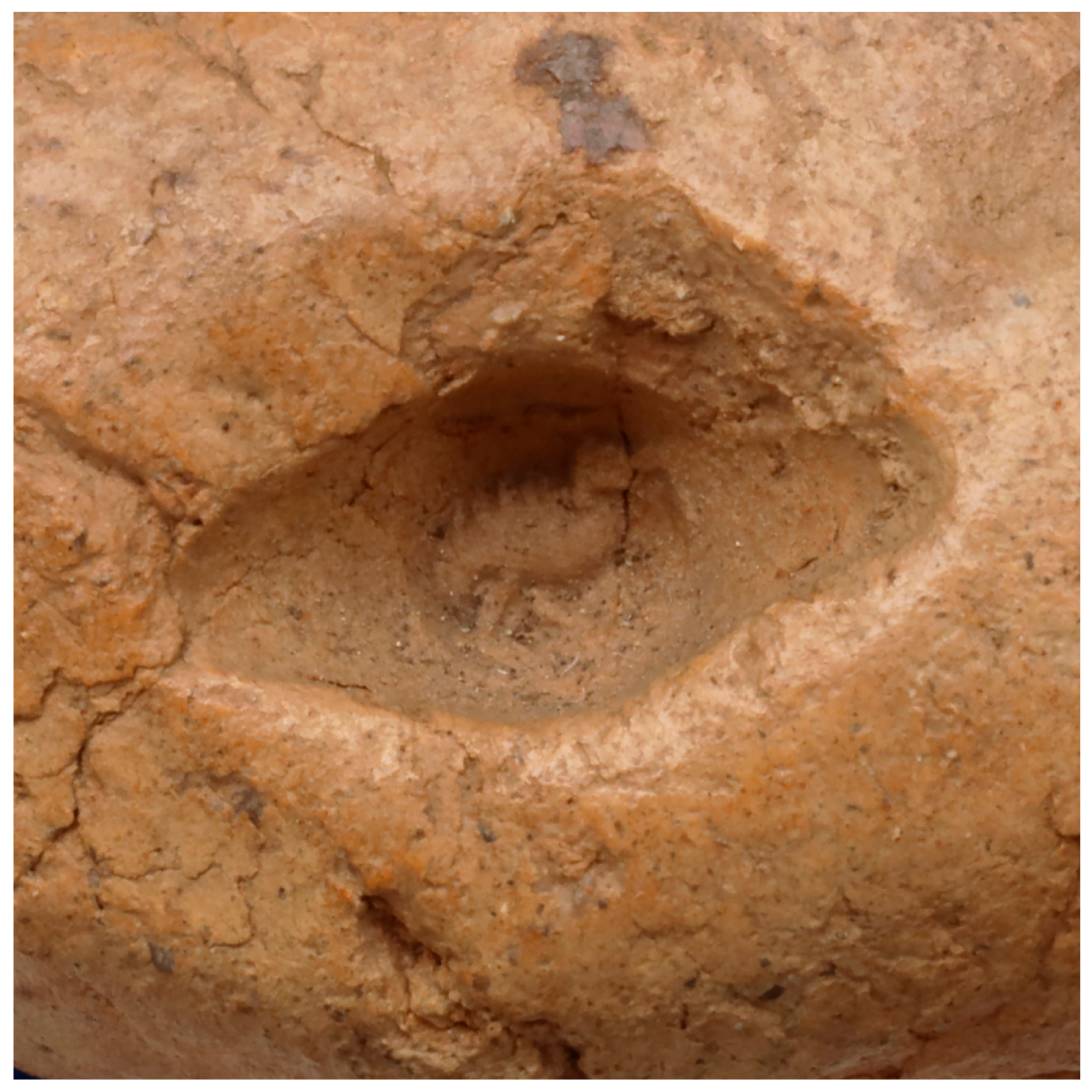 Religions 16 01359 g013