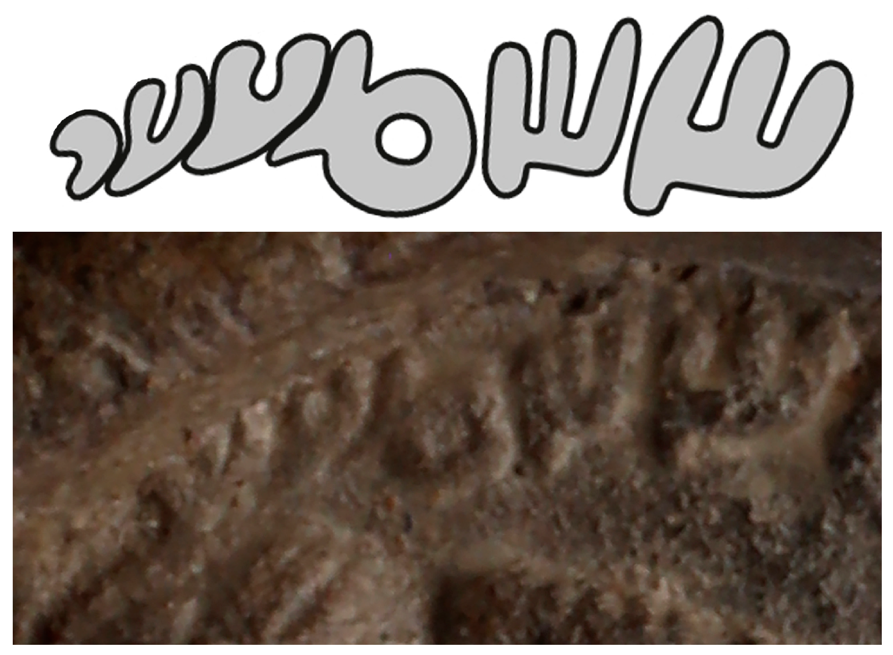 Religions 16 01359 g017