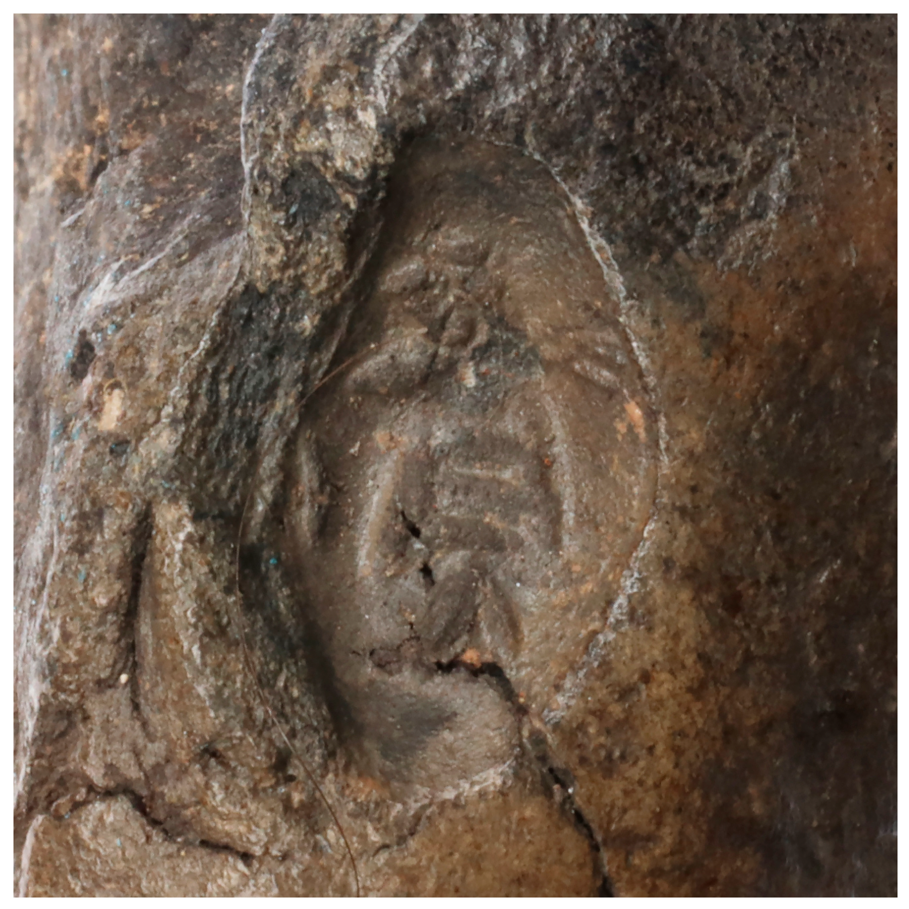 Religions 16 01359 g019