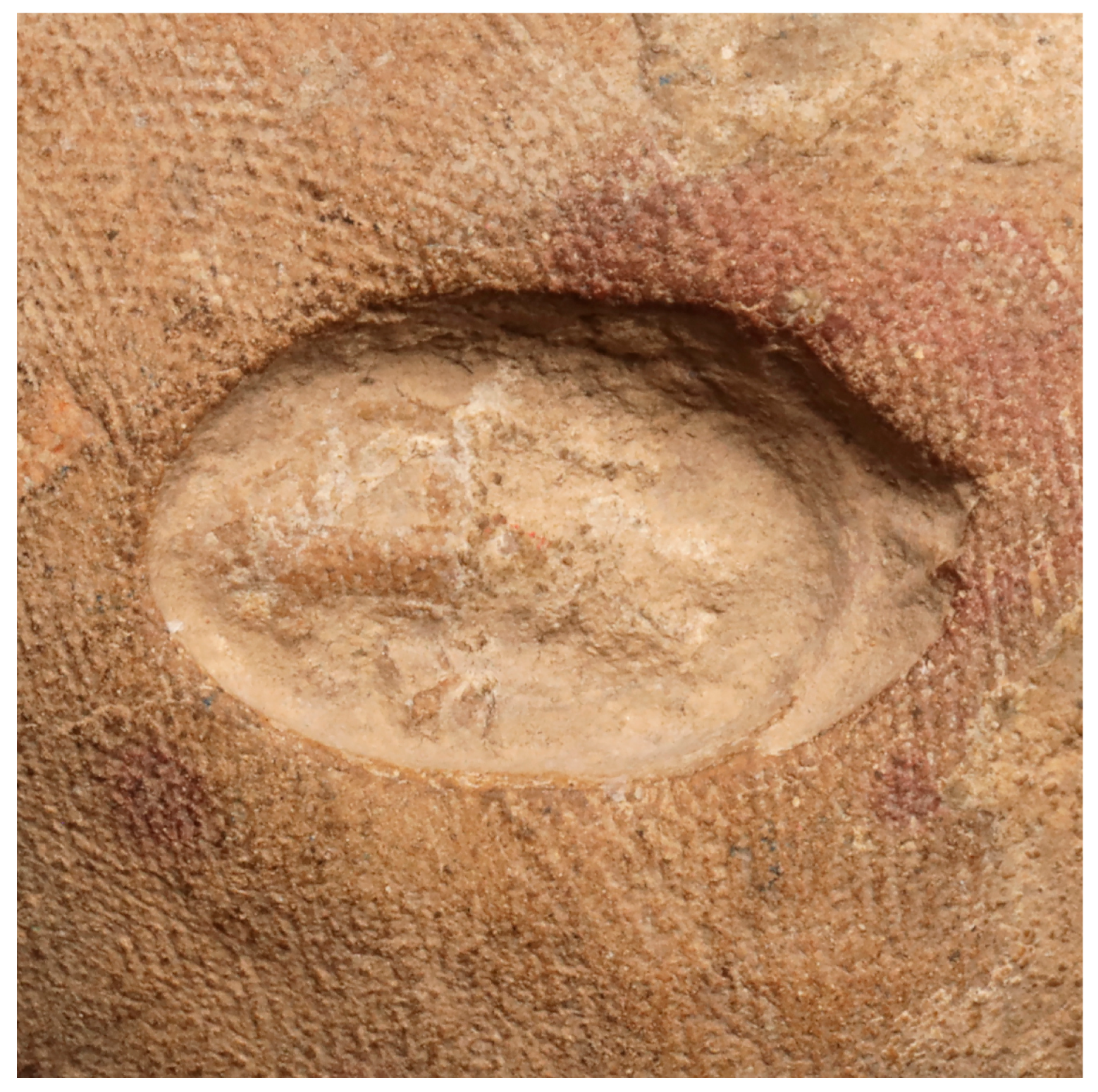 Religions 16 01359 g023