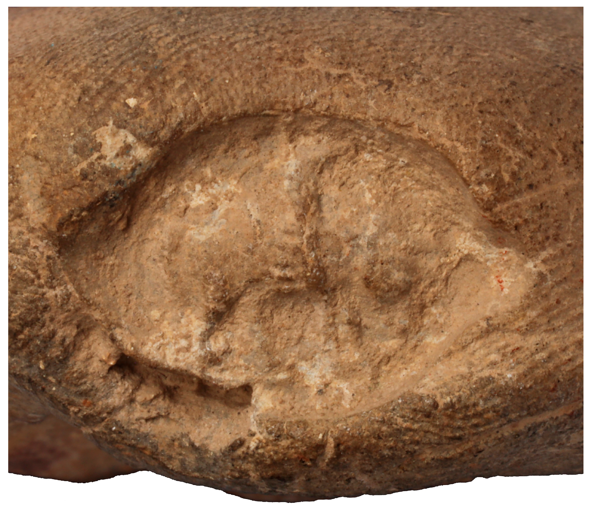 Religions 16 01359 g024