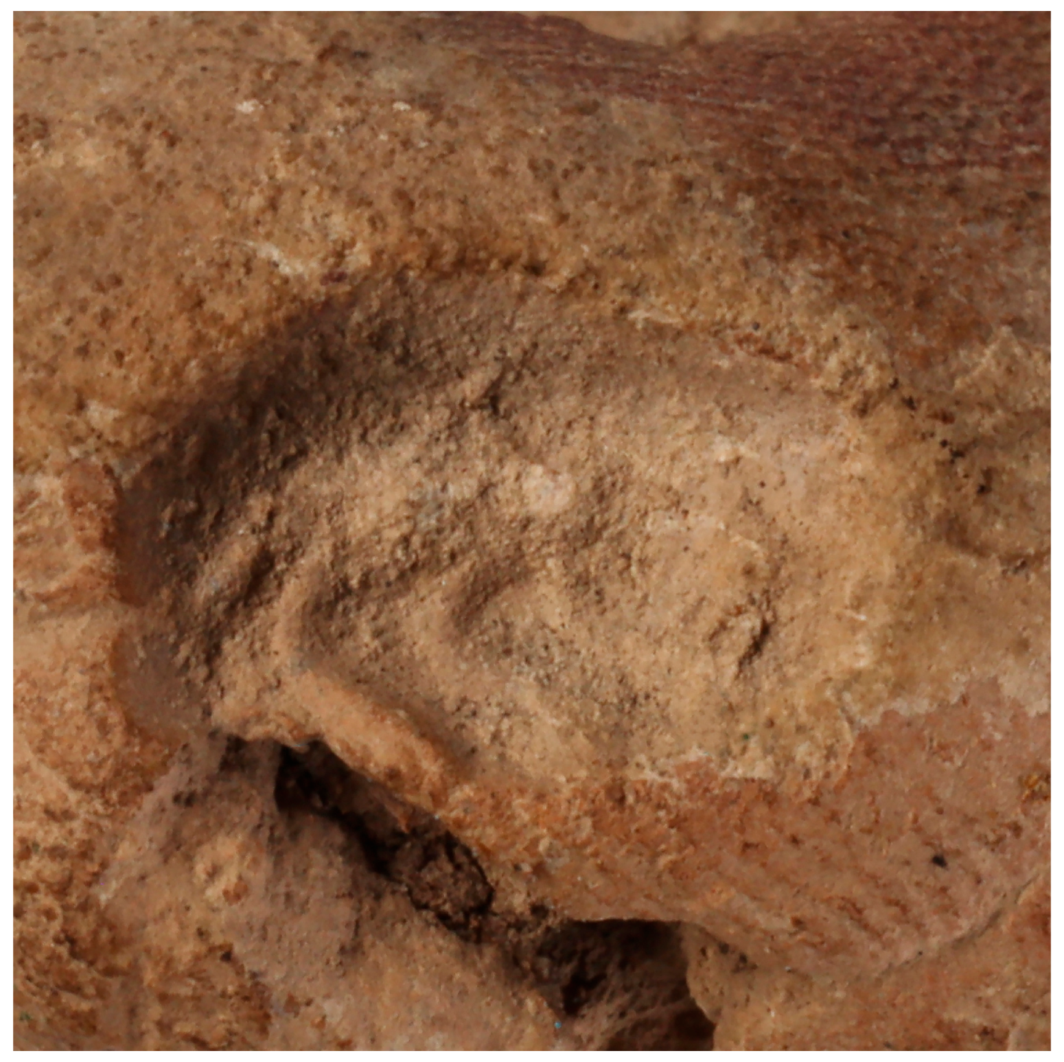 Religions 16 01359 g025