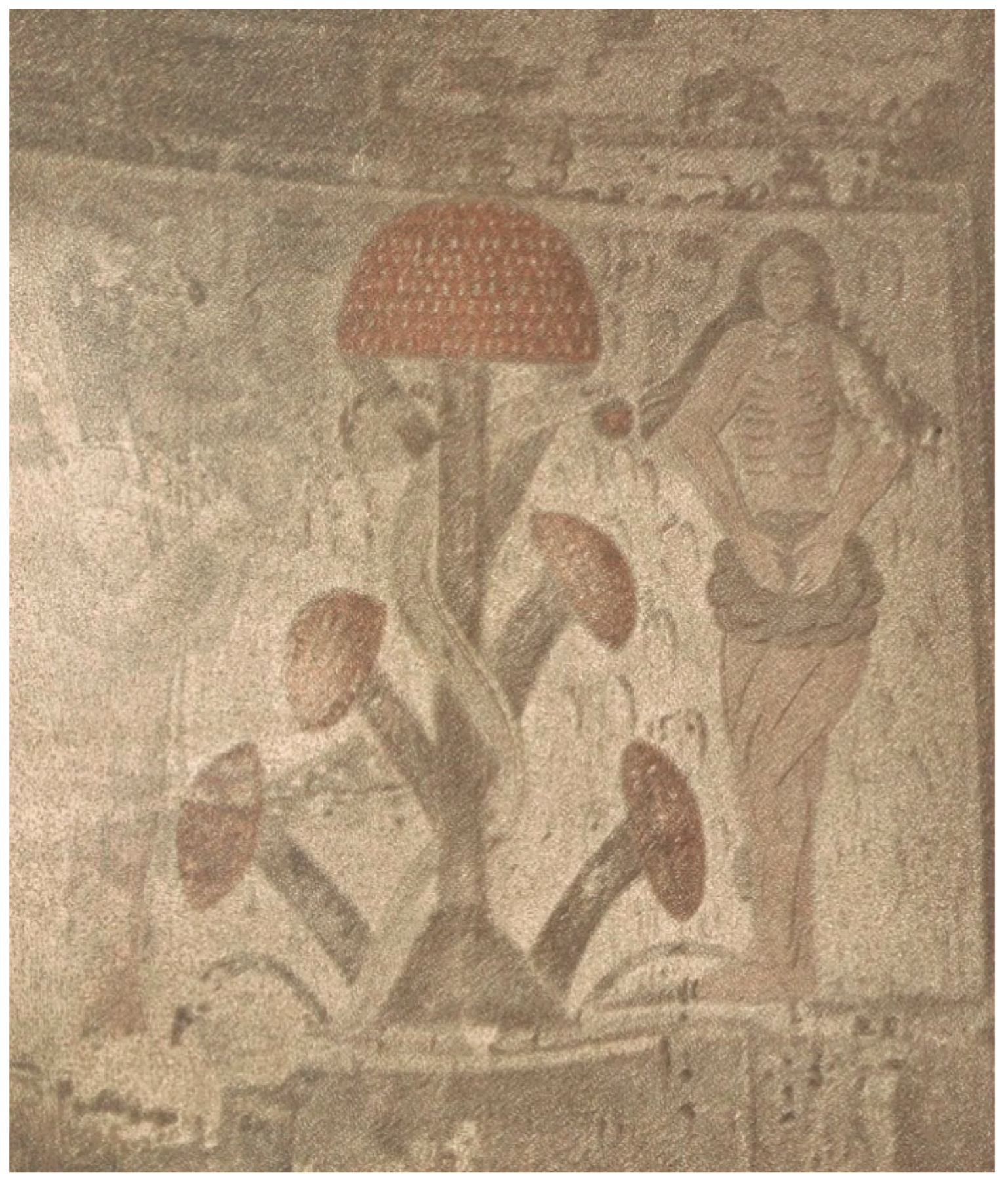 Religions 16 01374 g002