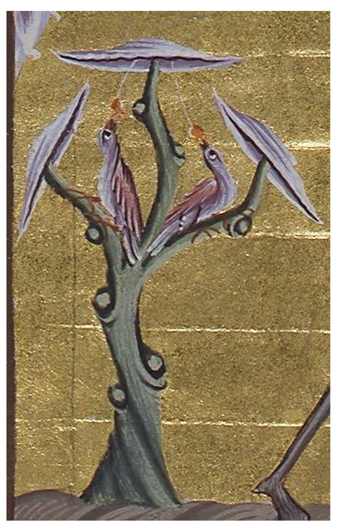 Religions 16 01374 g017