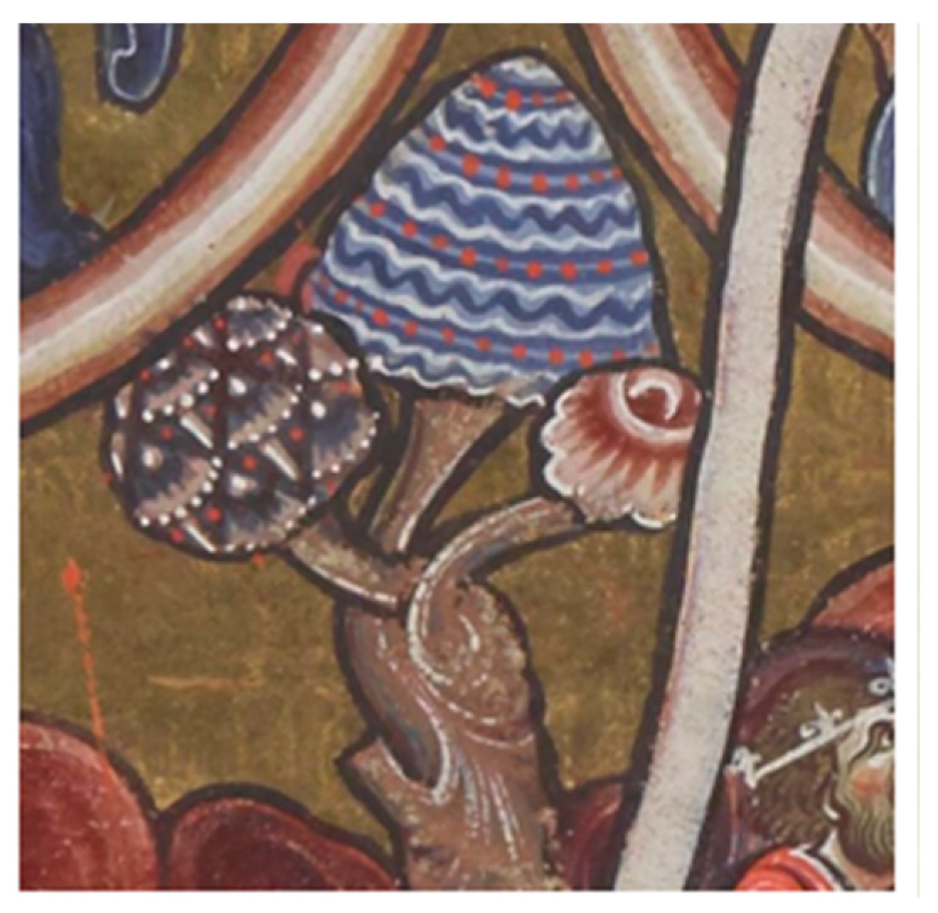 Religions 16 01374 g020