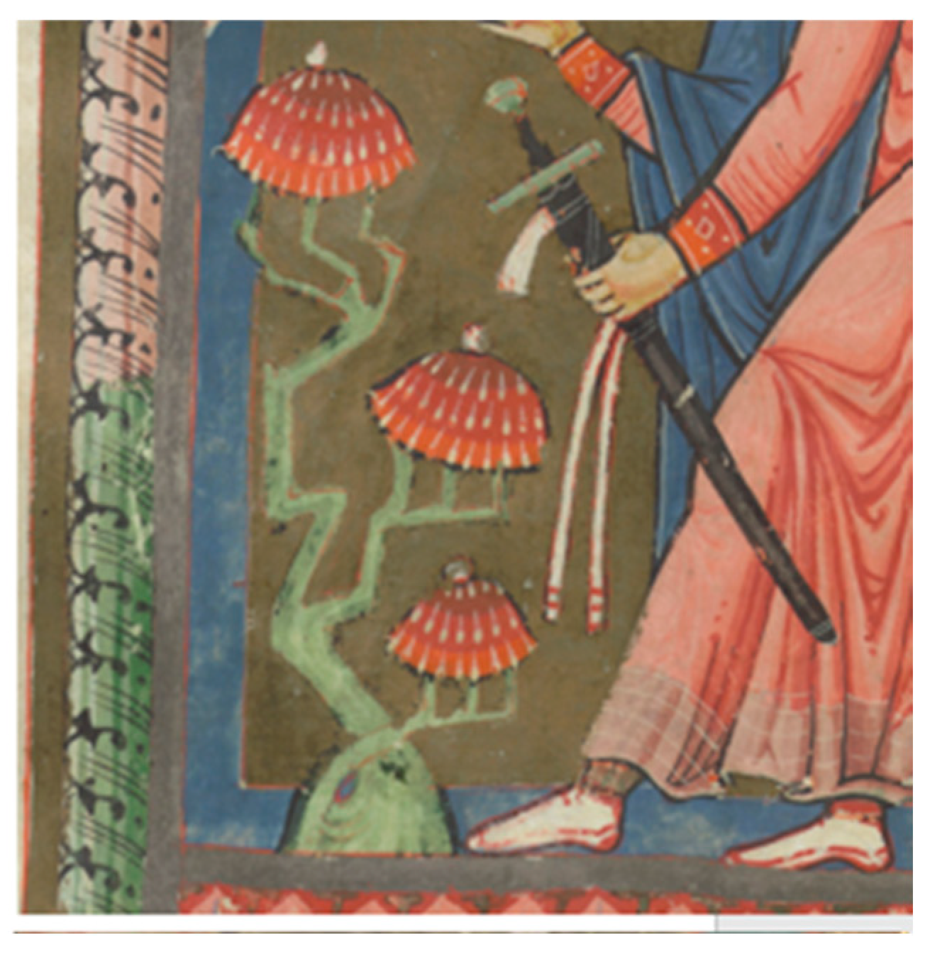 Religions 16 01374 g021