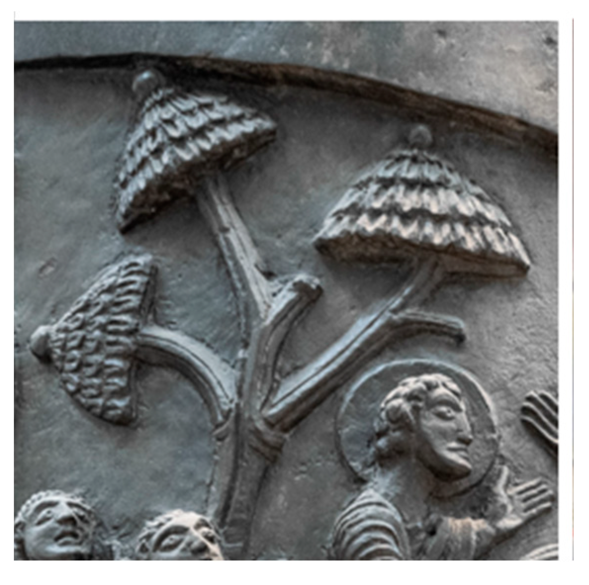 Religions 16 01374 g022