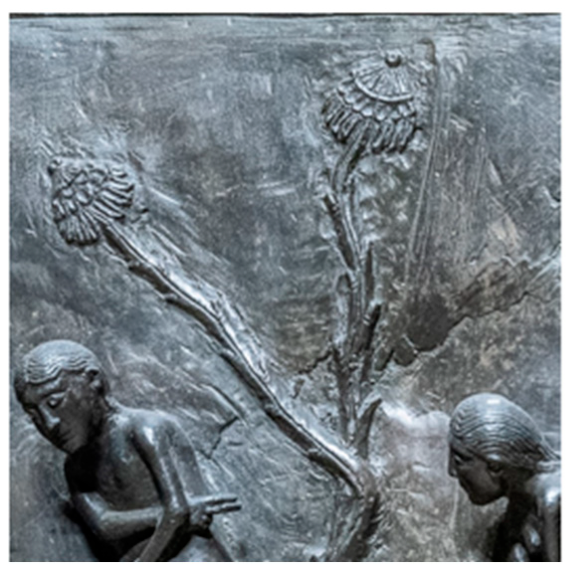 Religions 16 01374 g024