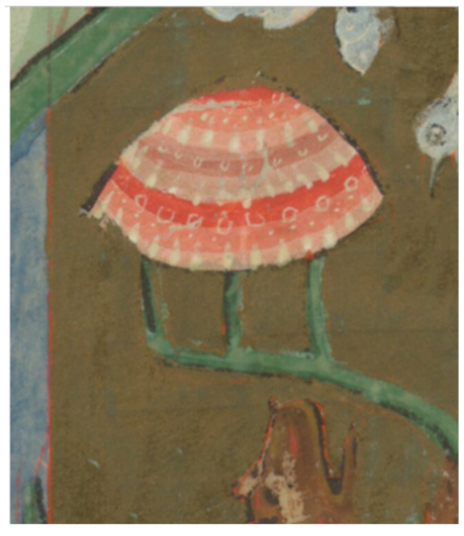 Religions 16 01374 g027