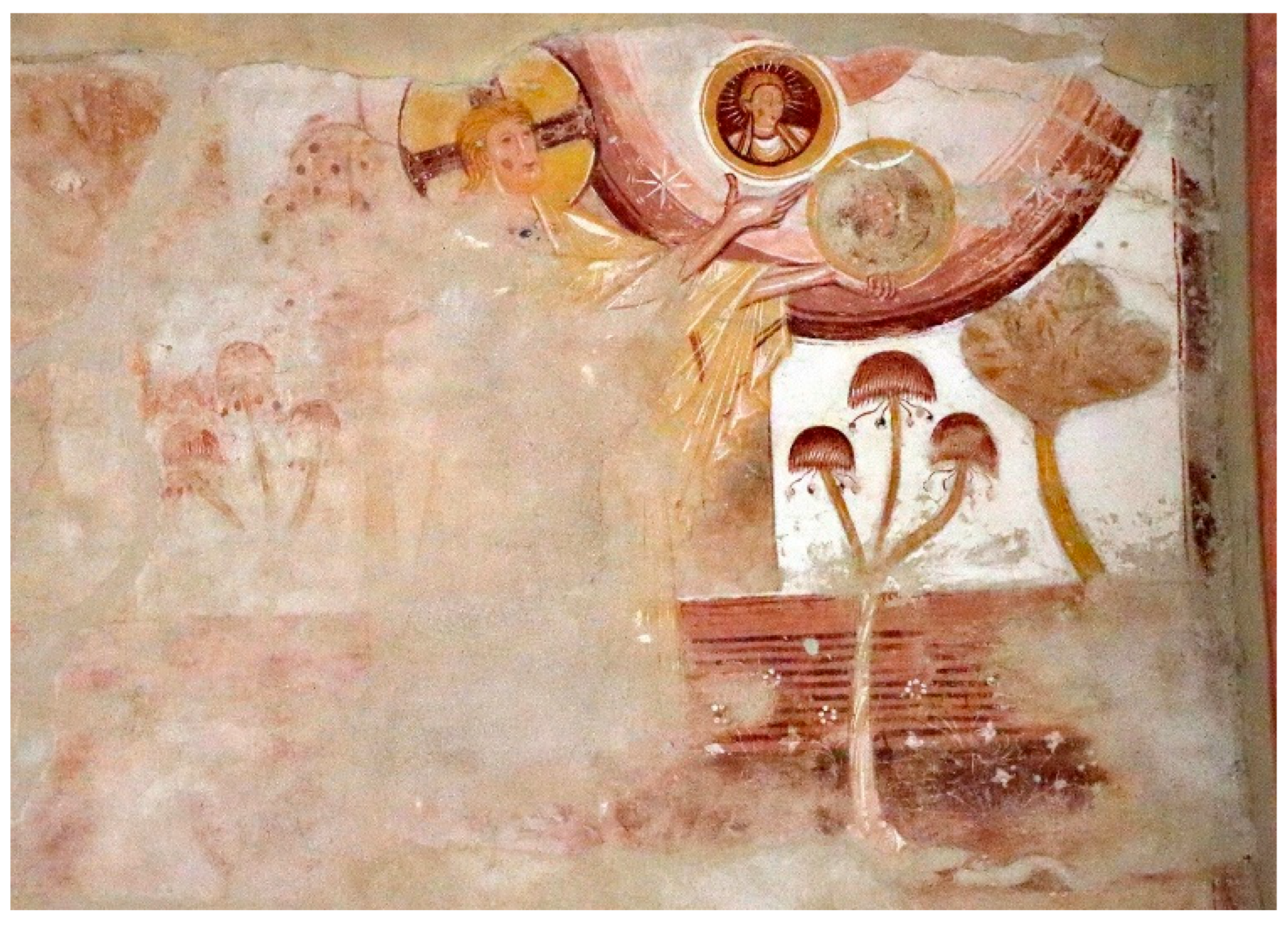 Religions 16 01374 g029