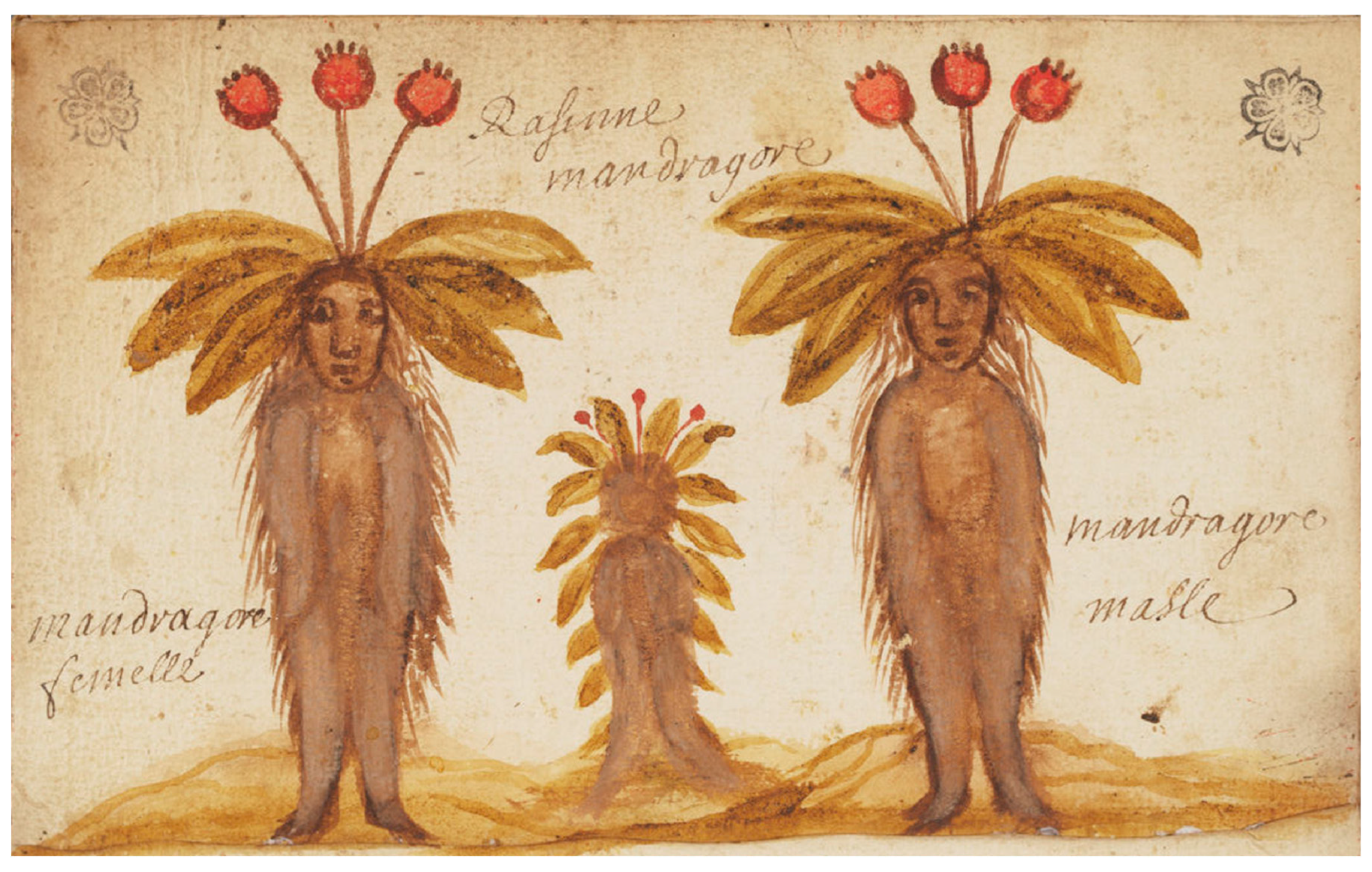 Religions 16 01374 g030