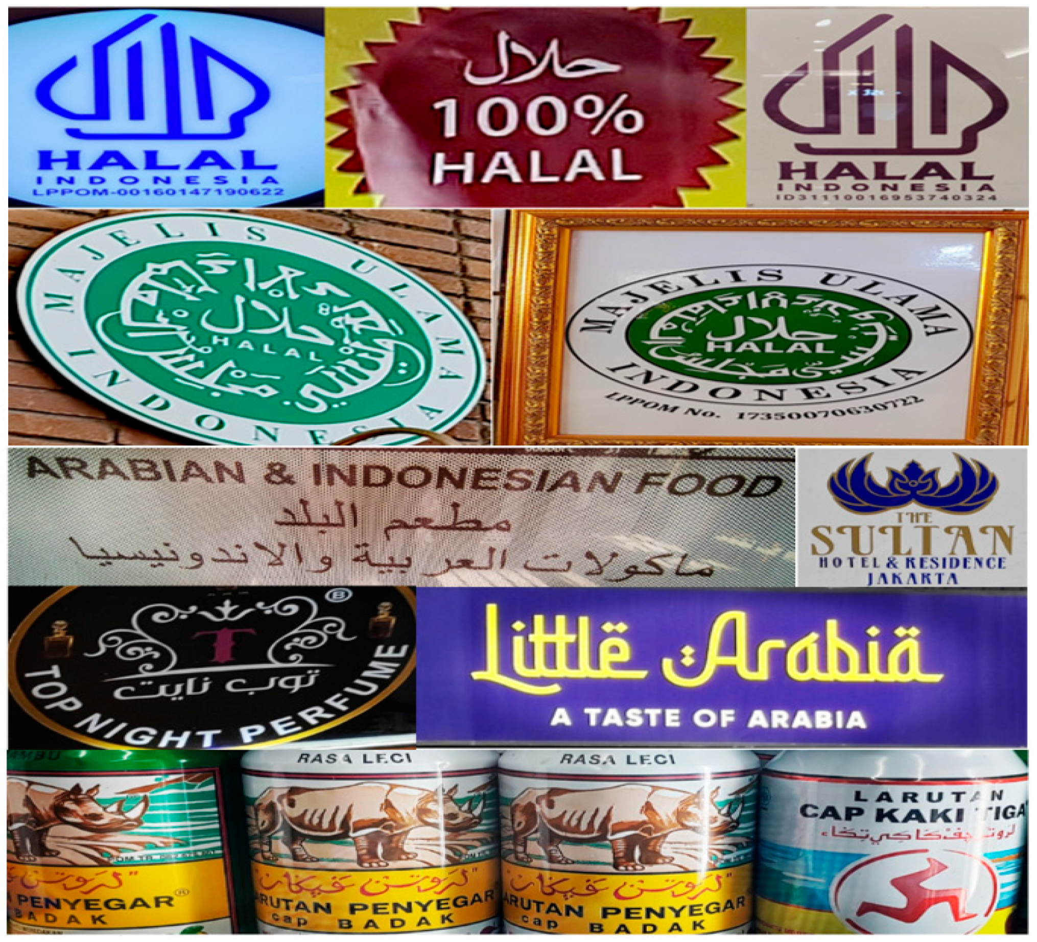 Religions 16 01443 g003