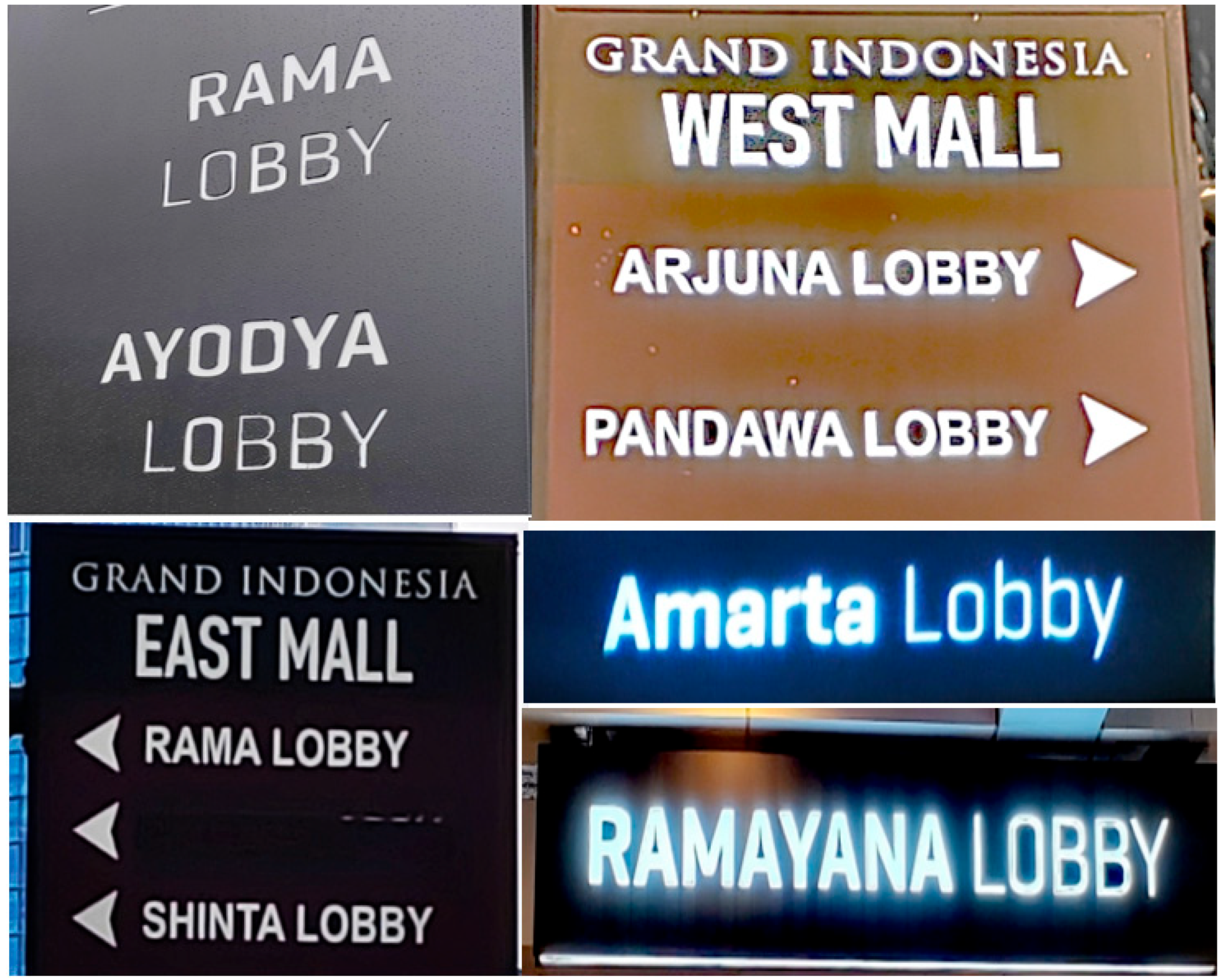 Religions 16 01443 g008