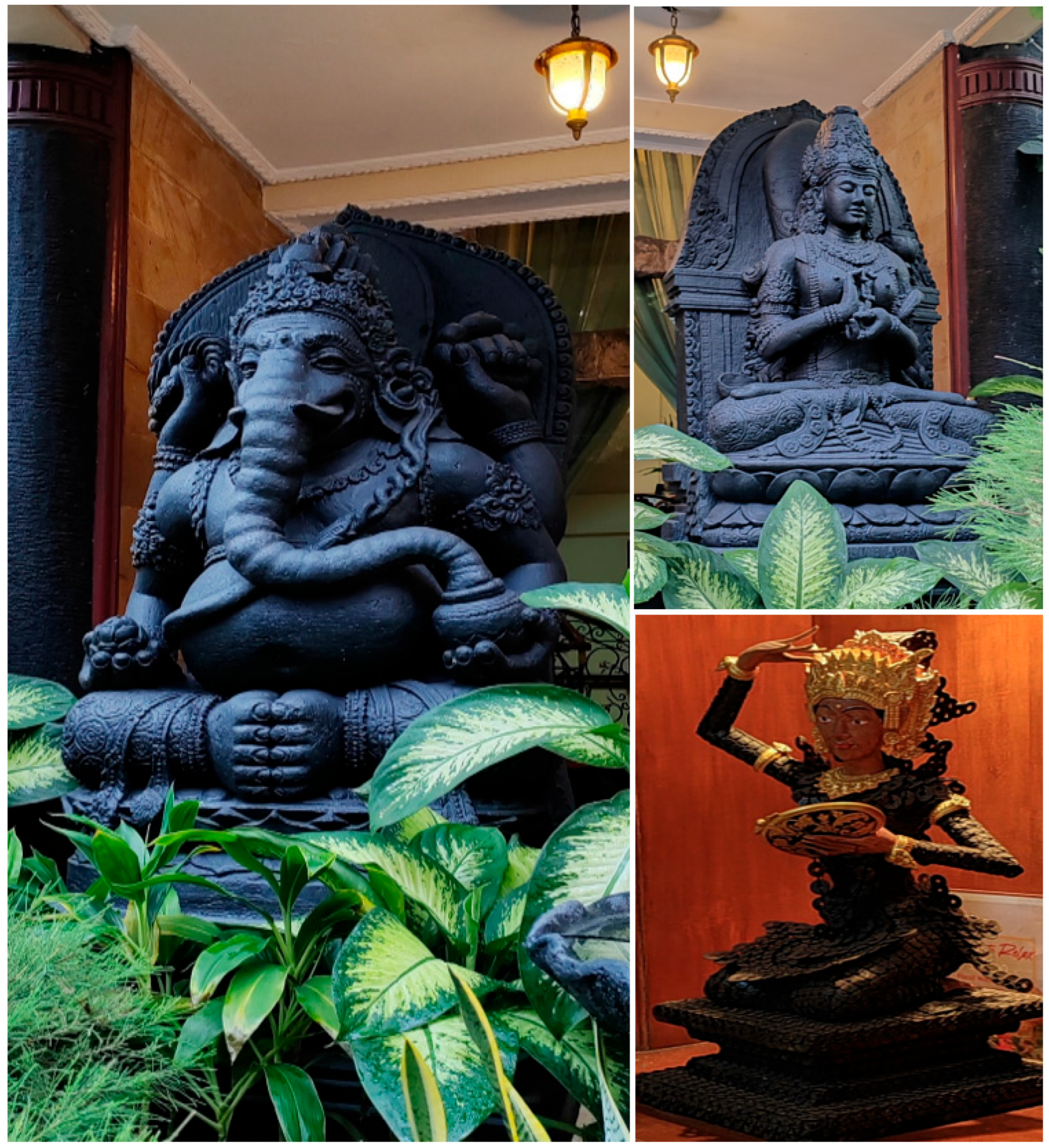 Religions 16 01443 g022