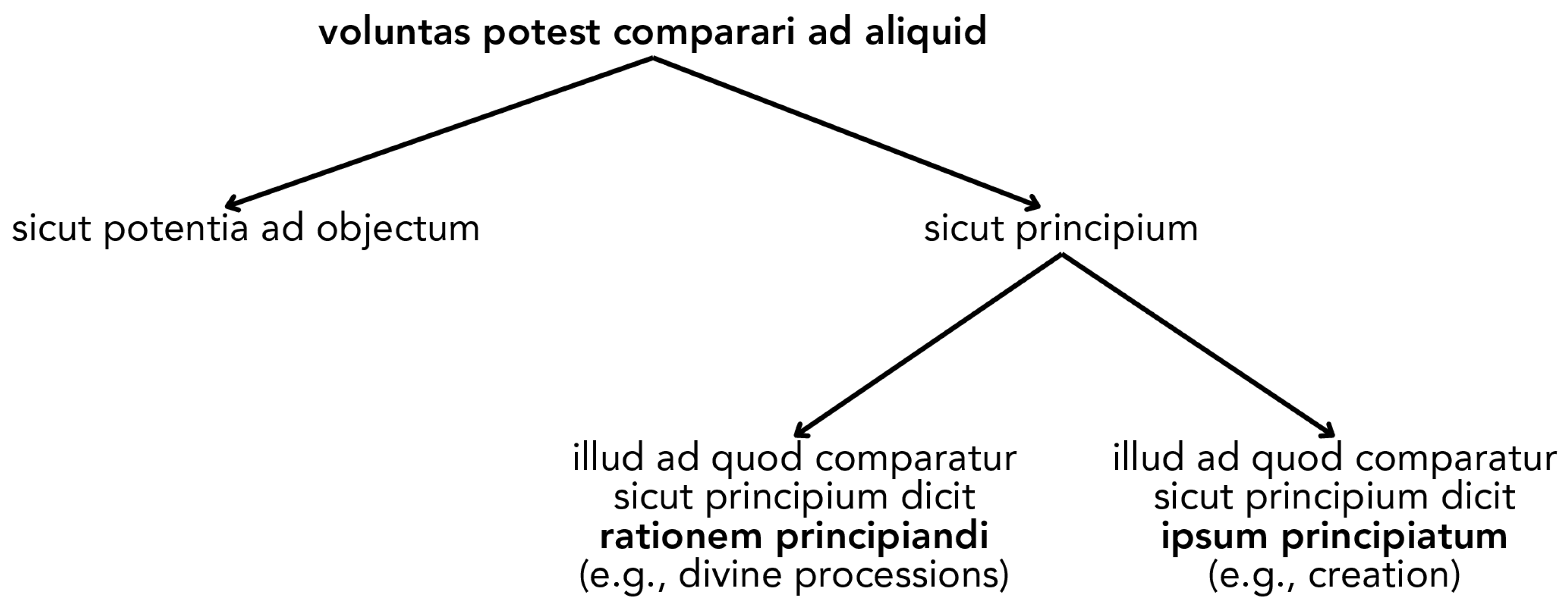 Religions 16 01451 g002