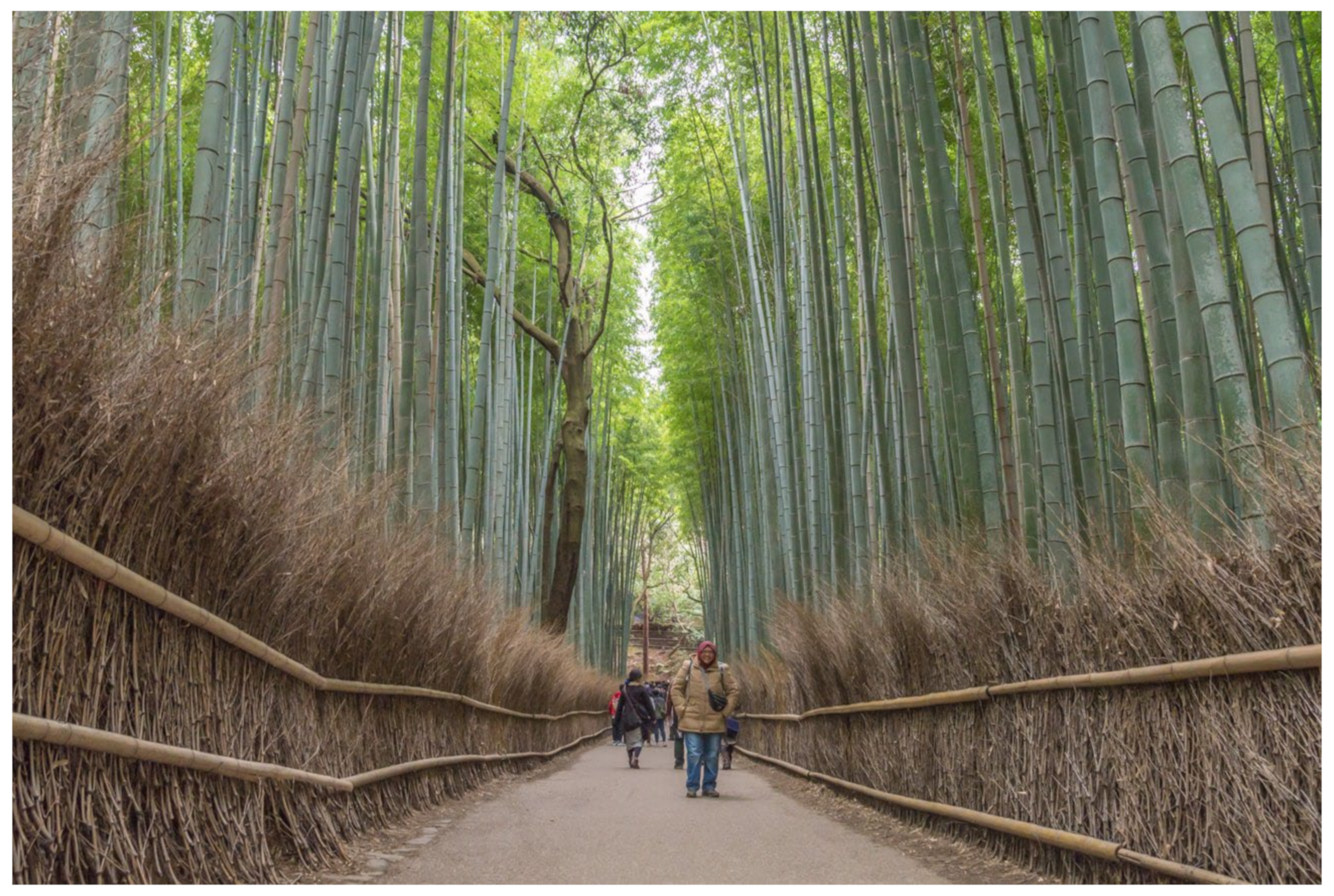 Religions 16 01453 g009