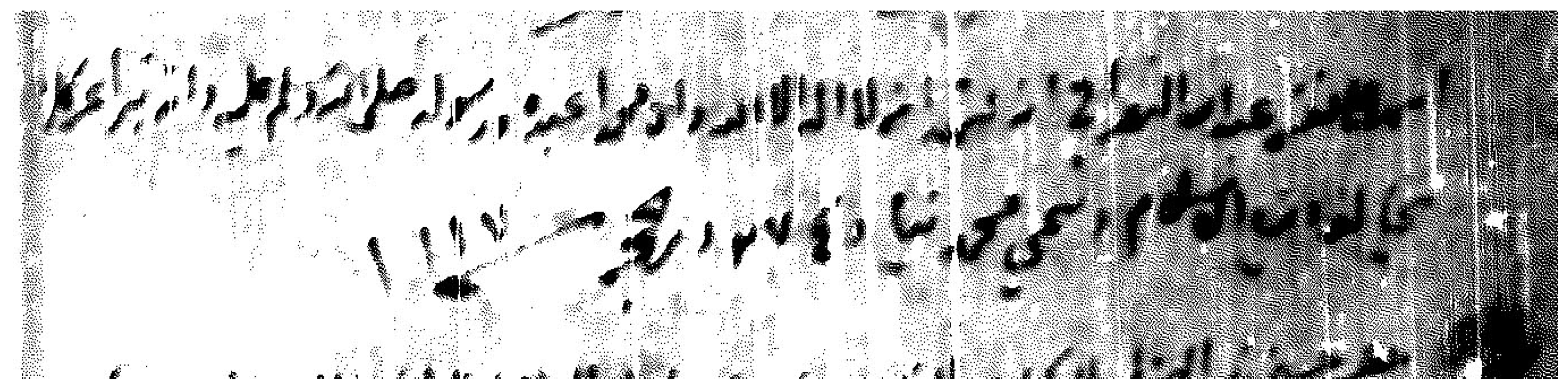 Religions 16 01460 g002