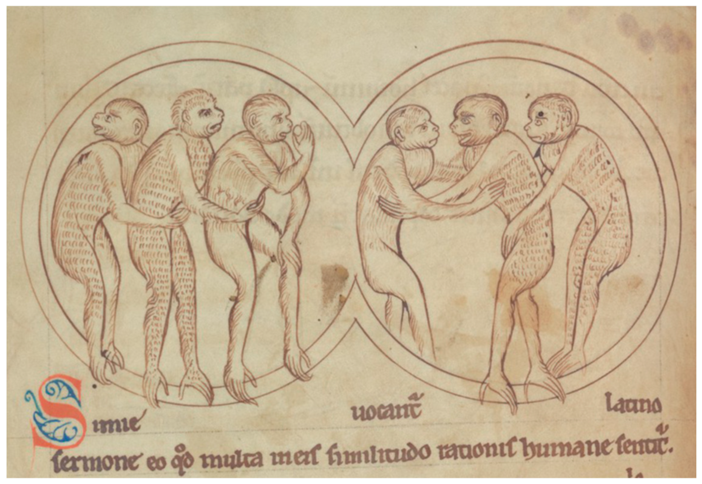 Religions 16 01522 g004 Religions 16 01522 g004