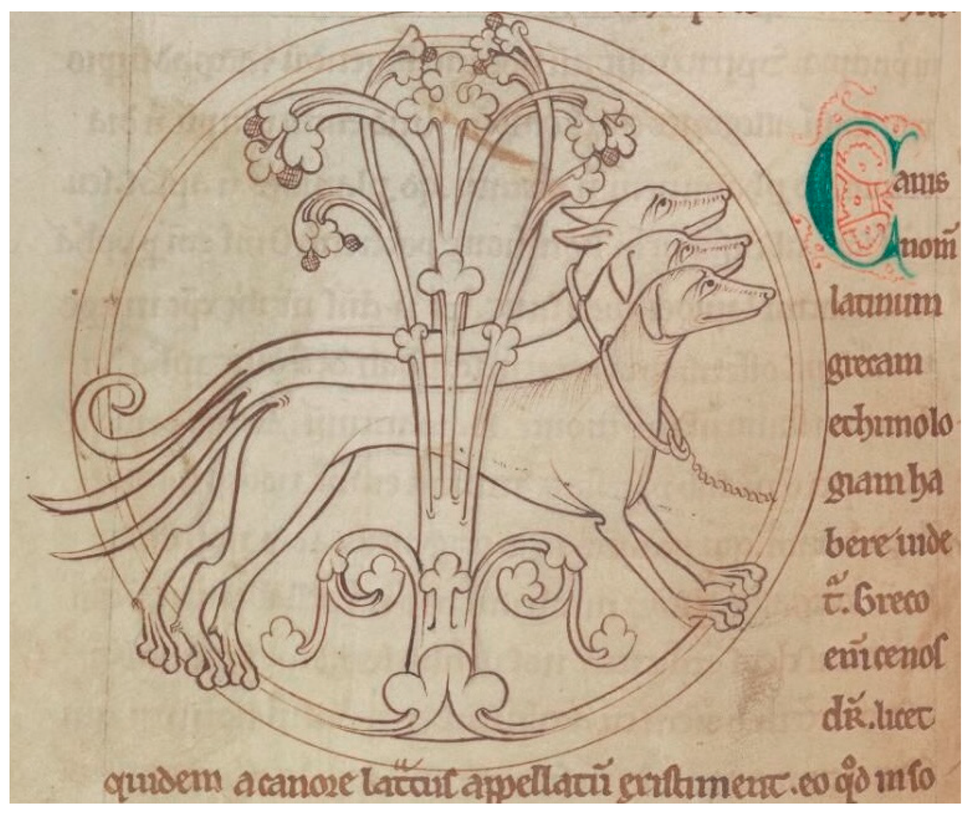 Religions 16 01522 g005 Religions 16 01522 g005