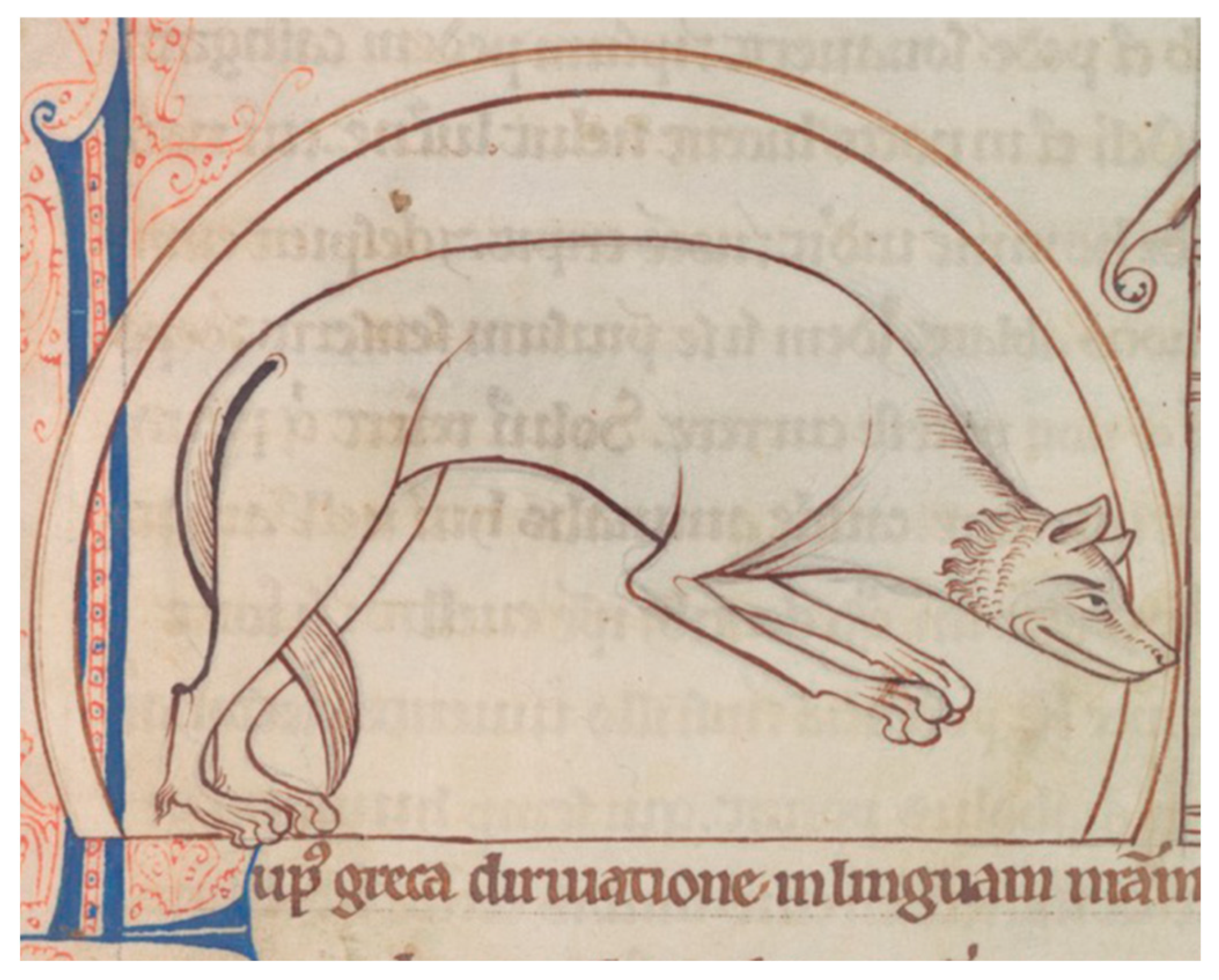 Religions 16 01522 g006 Religions 16 01522 g006