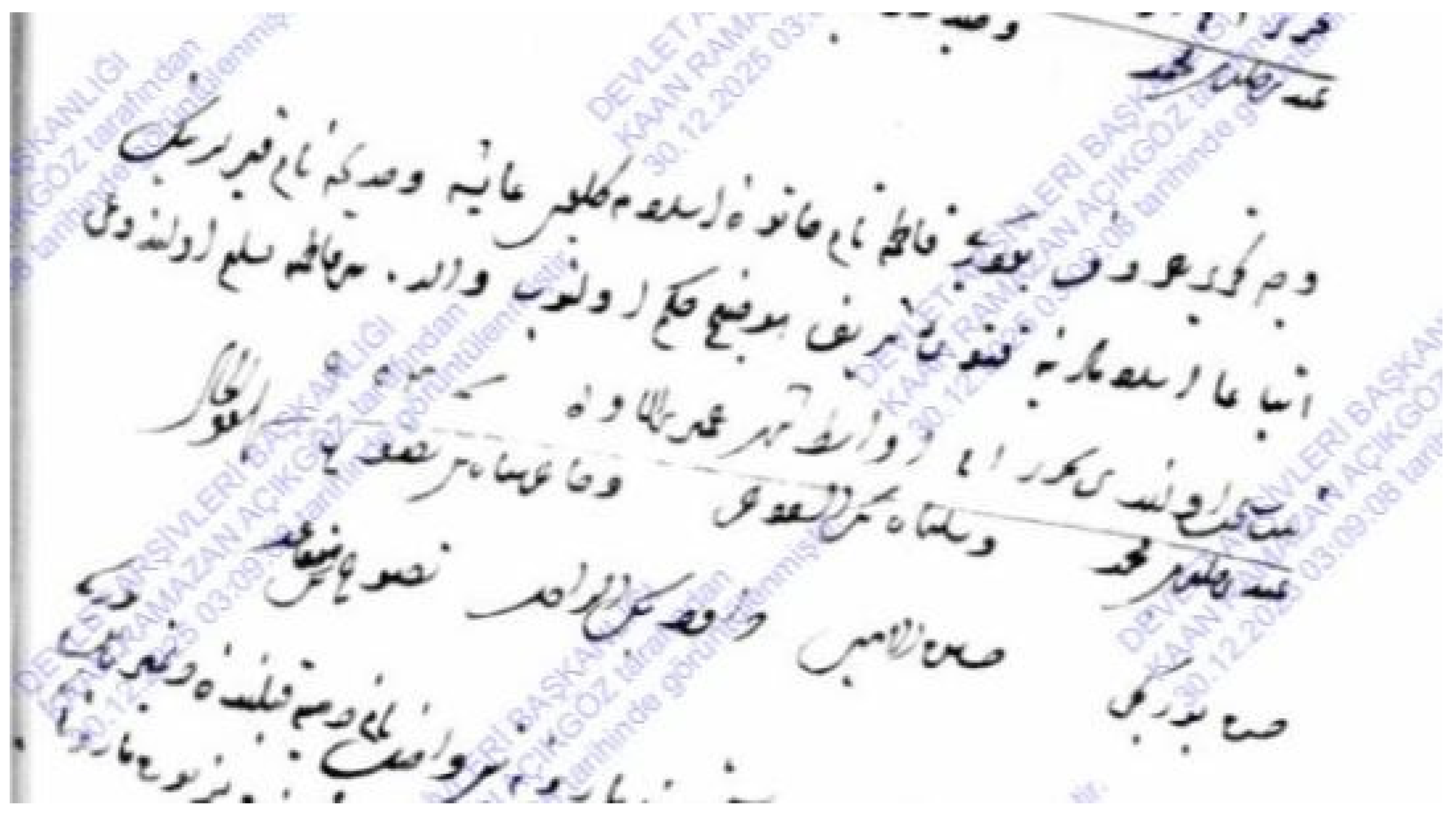 Religions 17 00382 g0a4