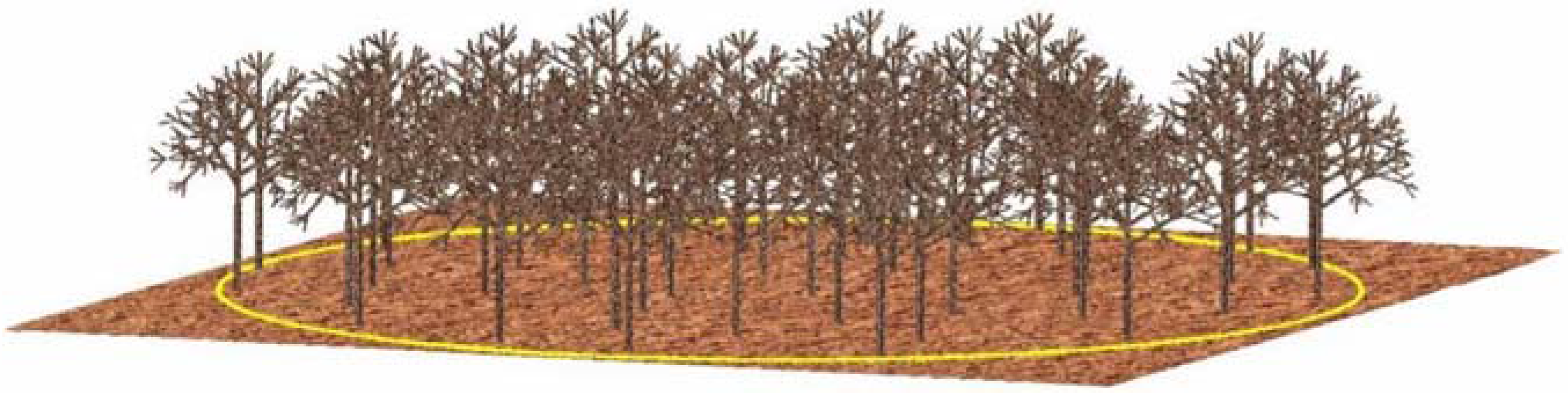 Remotesensing 01 00300 g003 1024