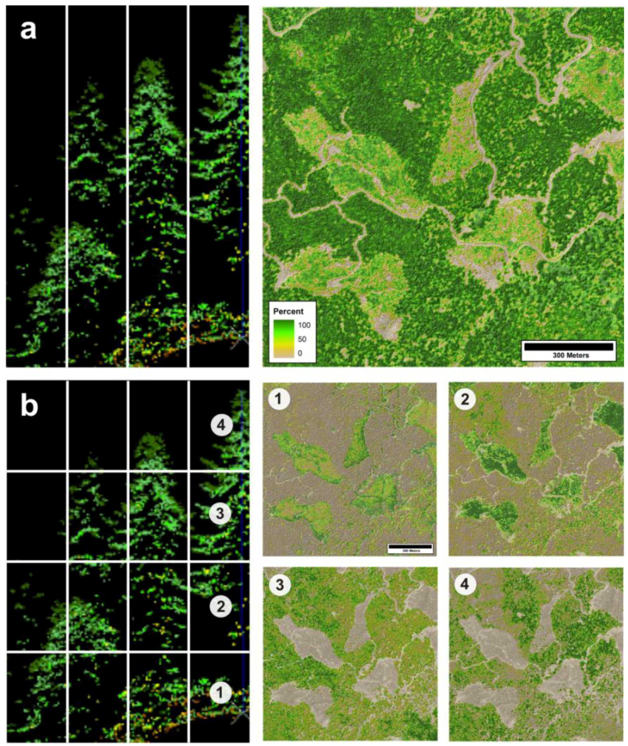Remotesensing 01 00776 g002