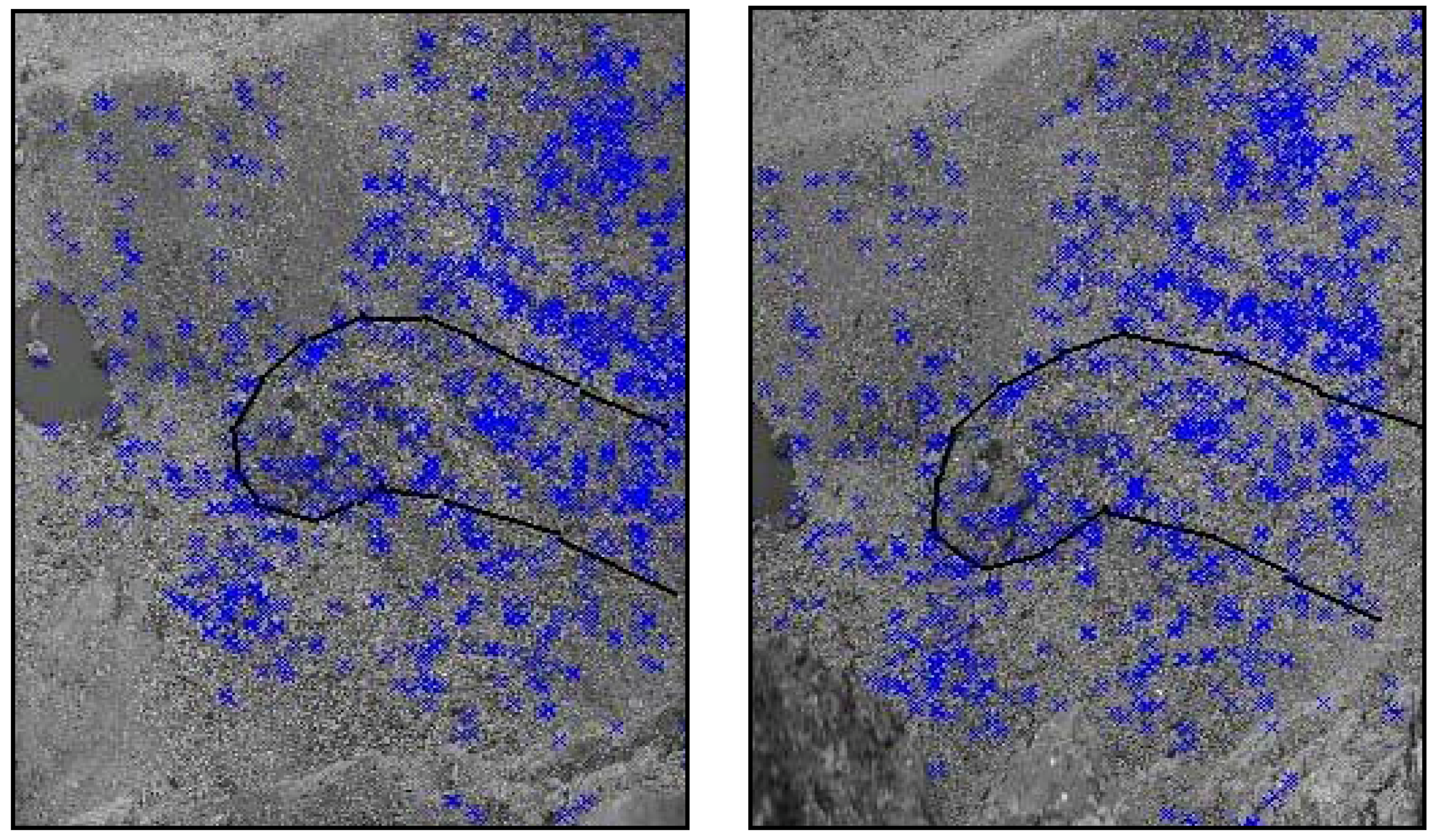 Remotesensing 01 00829 g006 1024