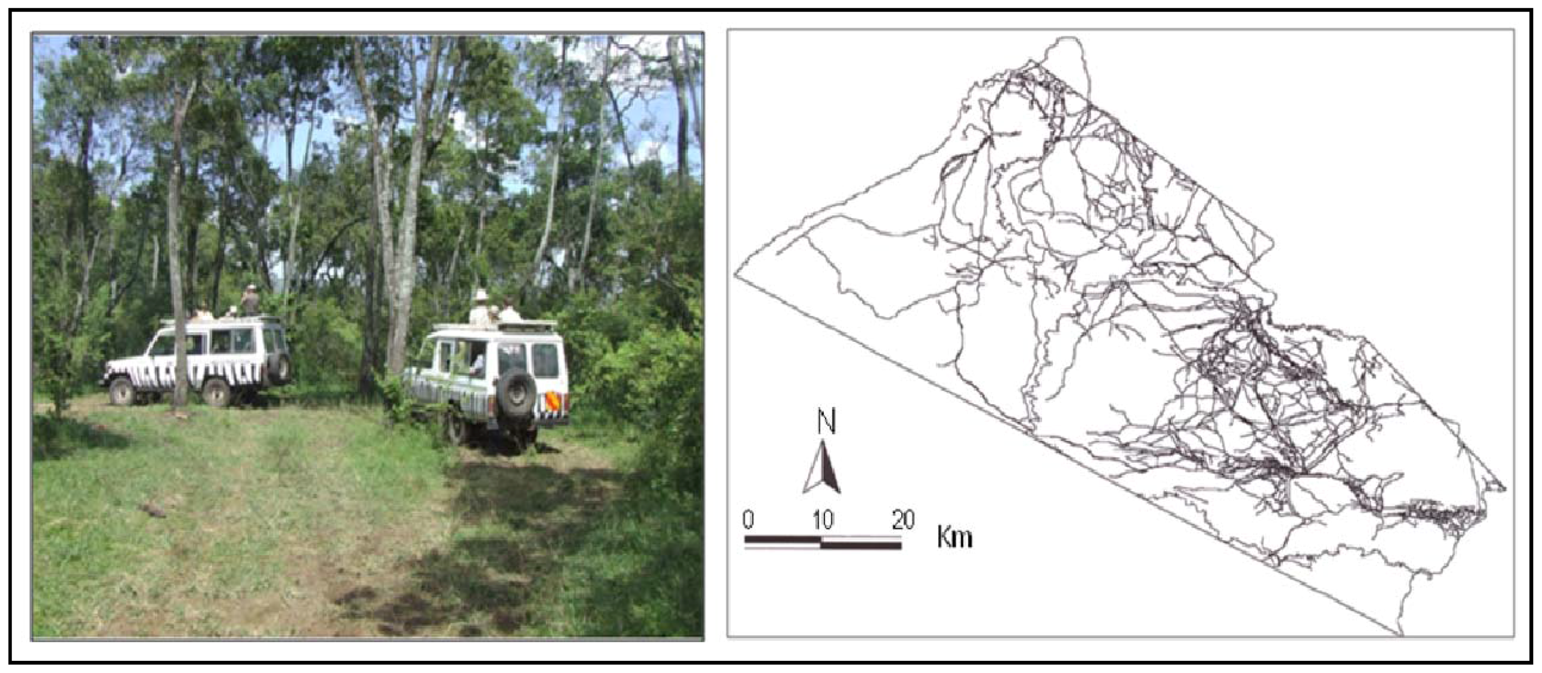 Remotesensing 01 00952 g009 1024