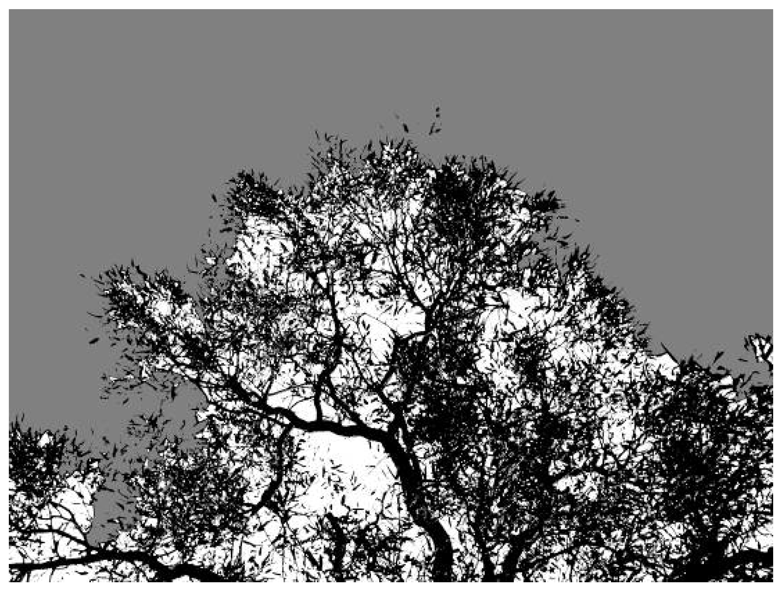 Remotesensing 01 01298 g002 1024