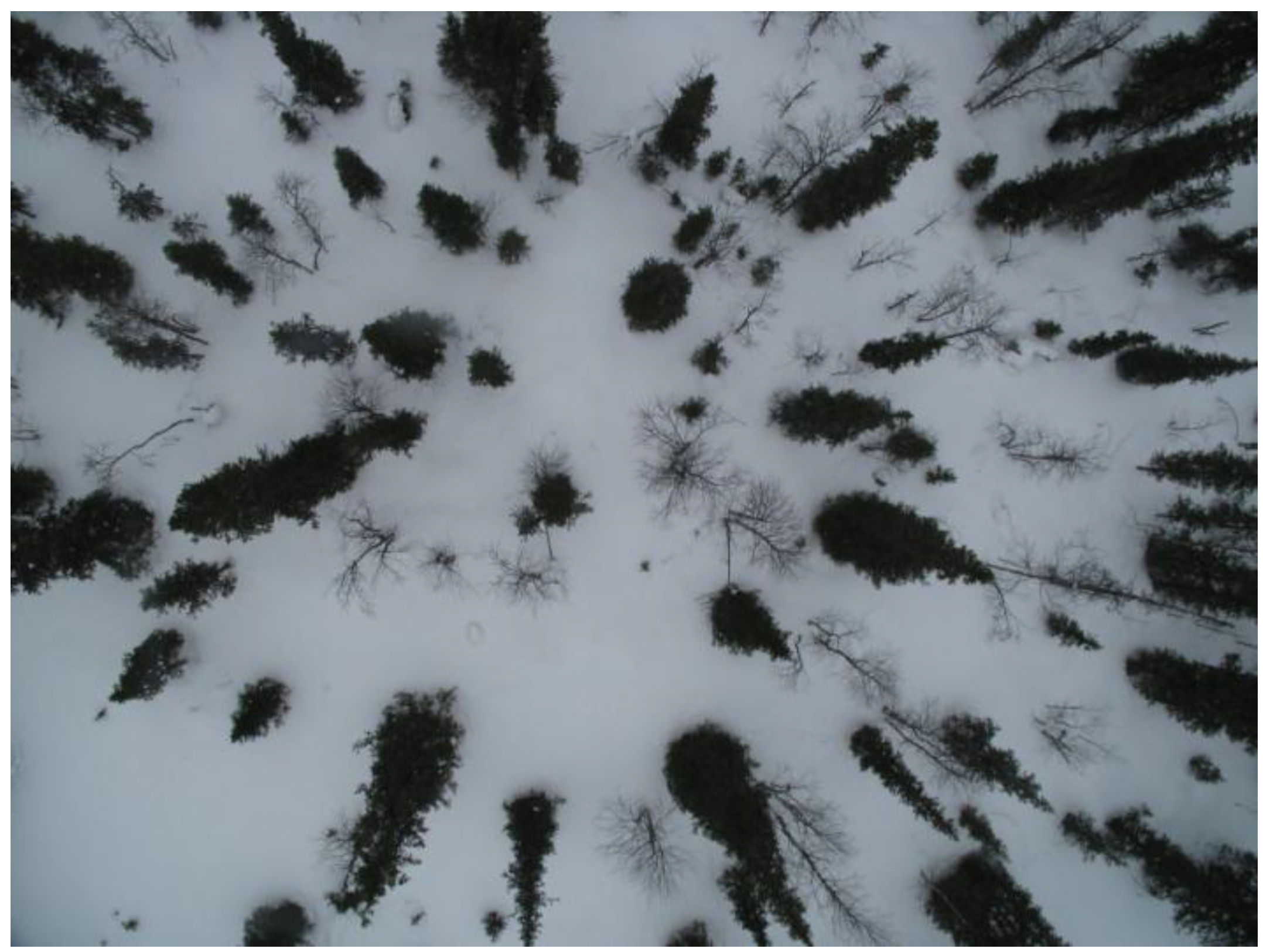 Remotesensing 01 01380 g010 1024