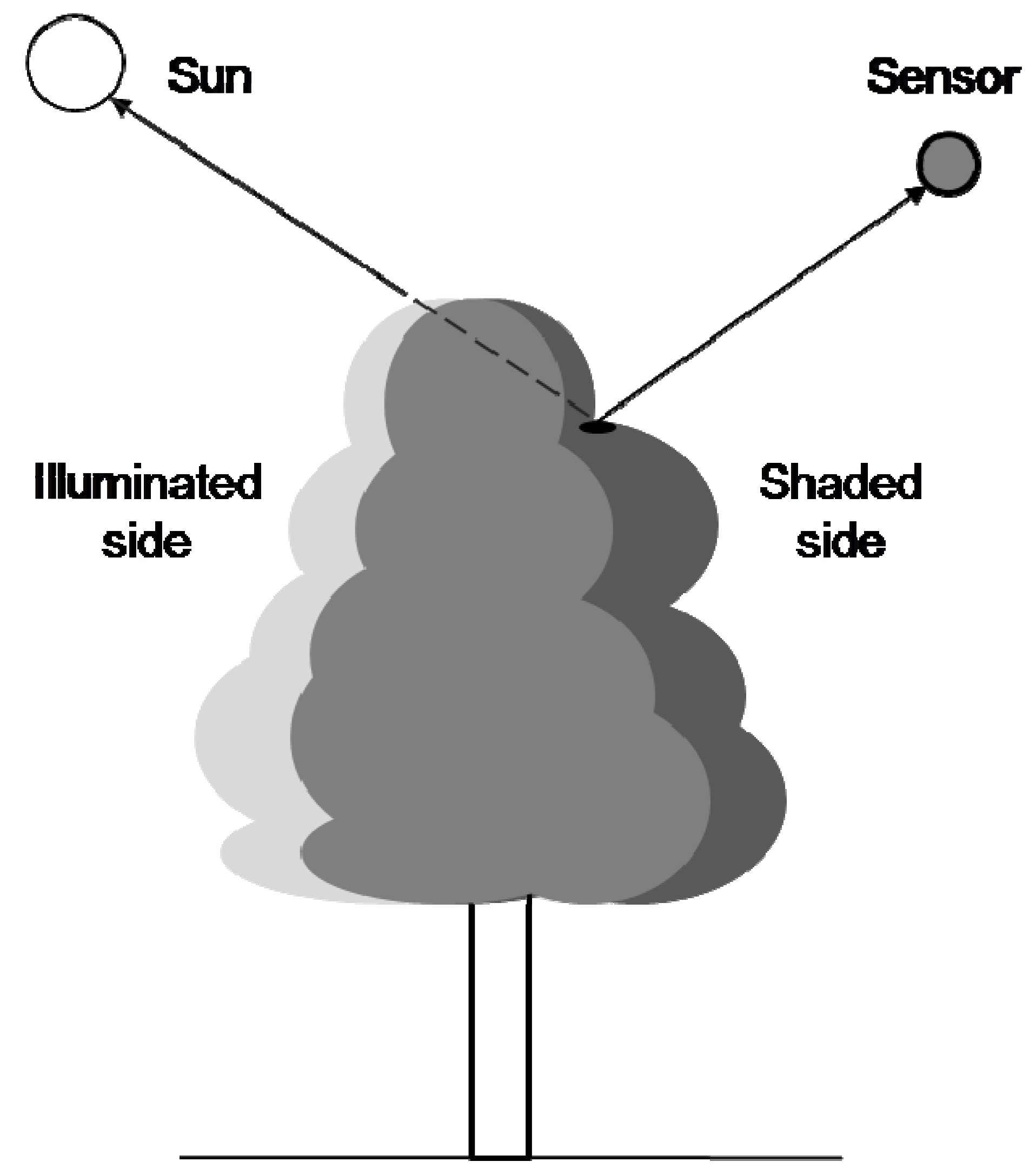 Remotesensing 02 00019 g003