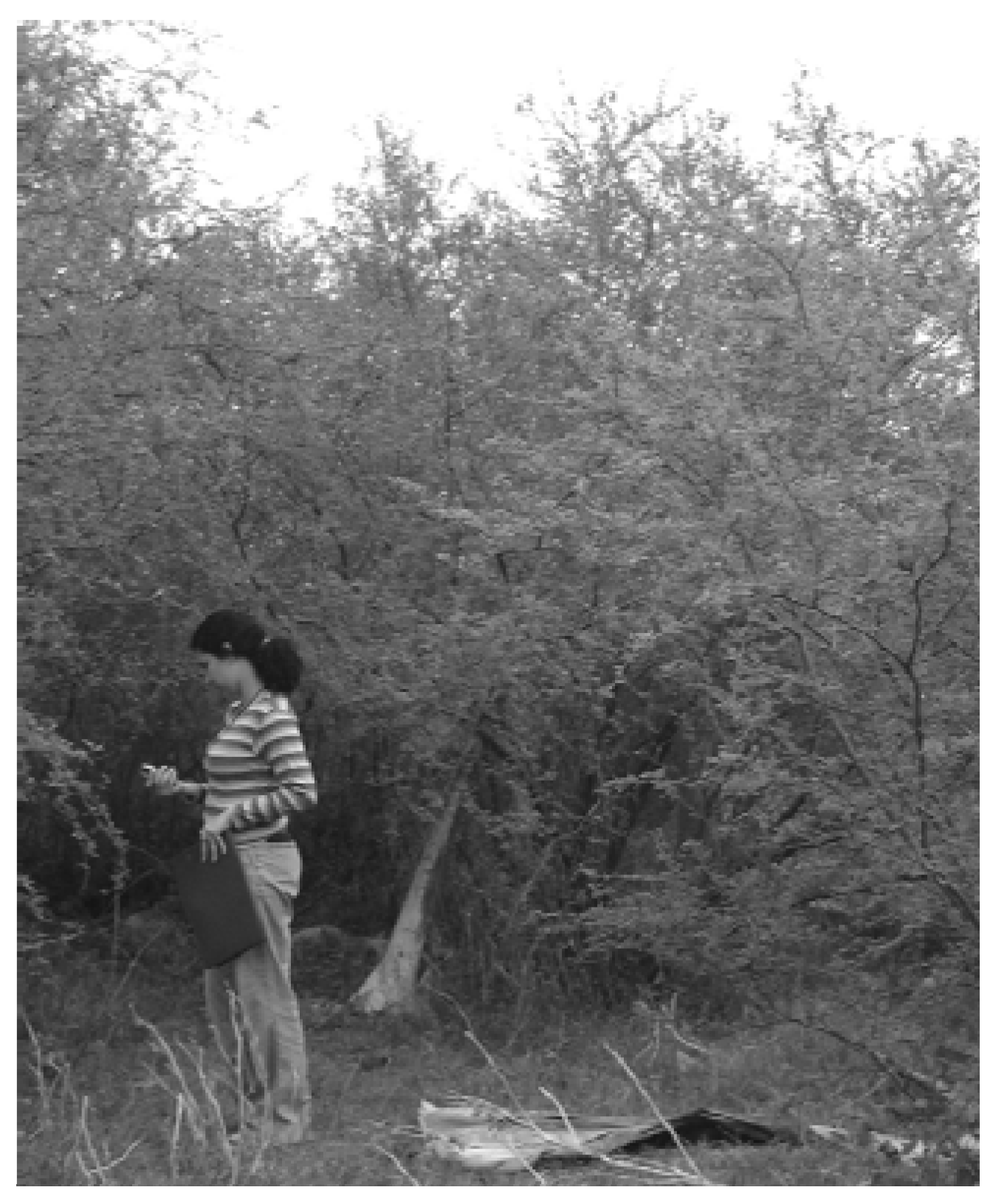 Remotesensing 02 00740 g006 1024