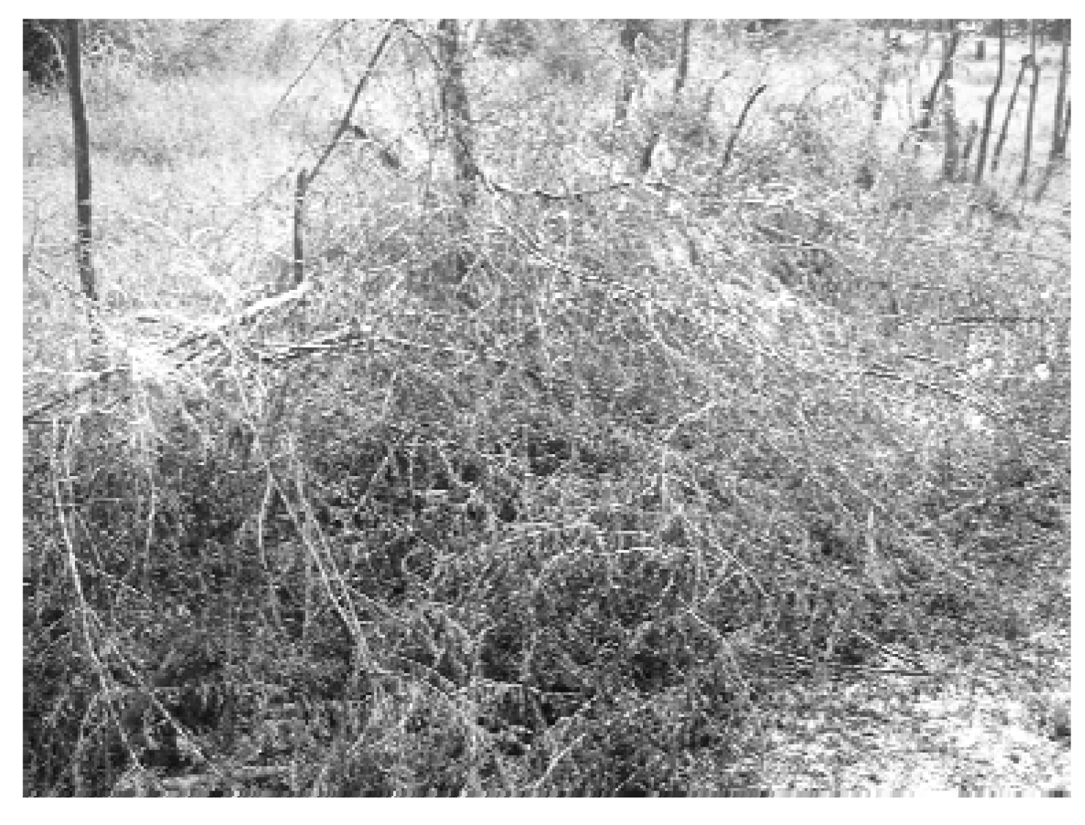 Remotesensing 02 00740 g007 1024