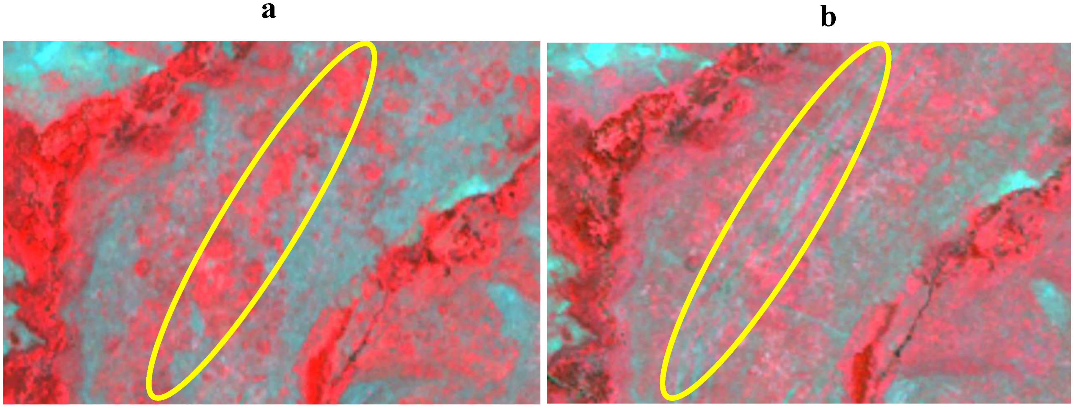 Remotesensing 02 00861 g008 1024