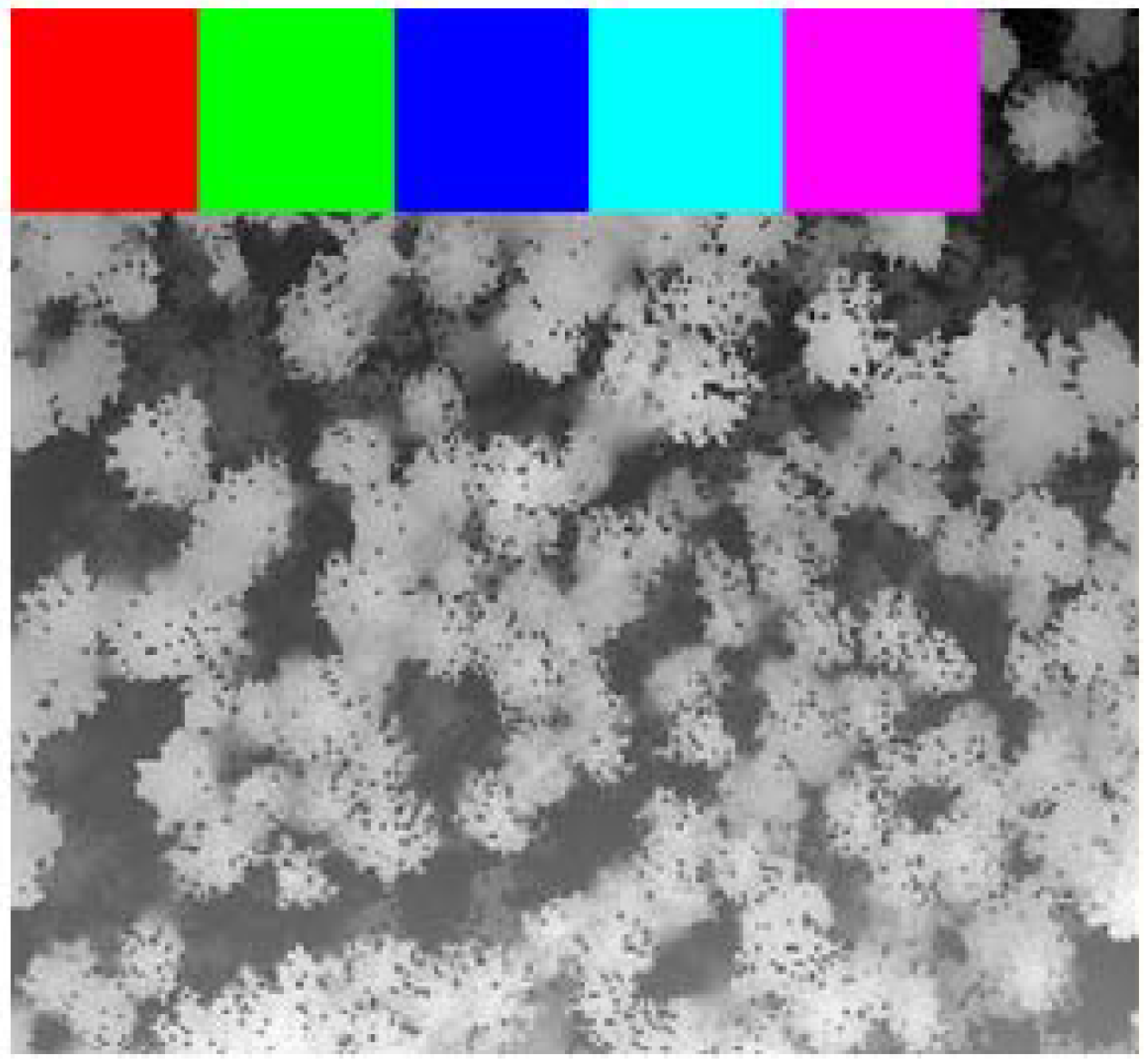 Remotesensing 02 00968 g004