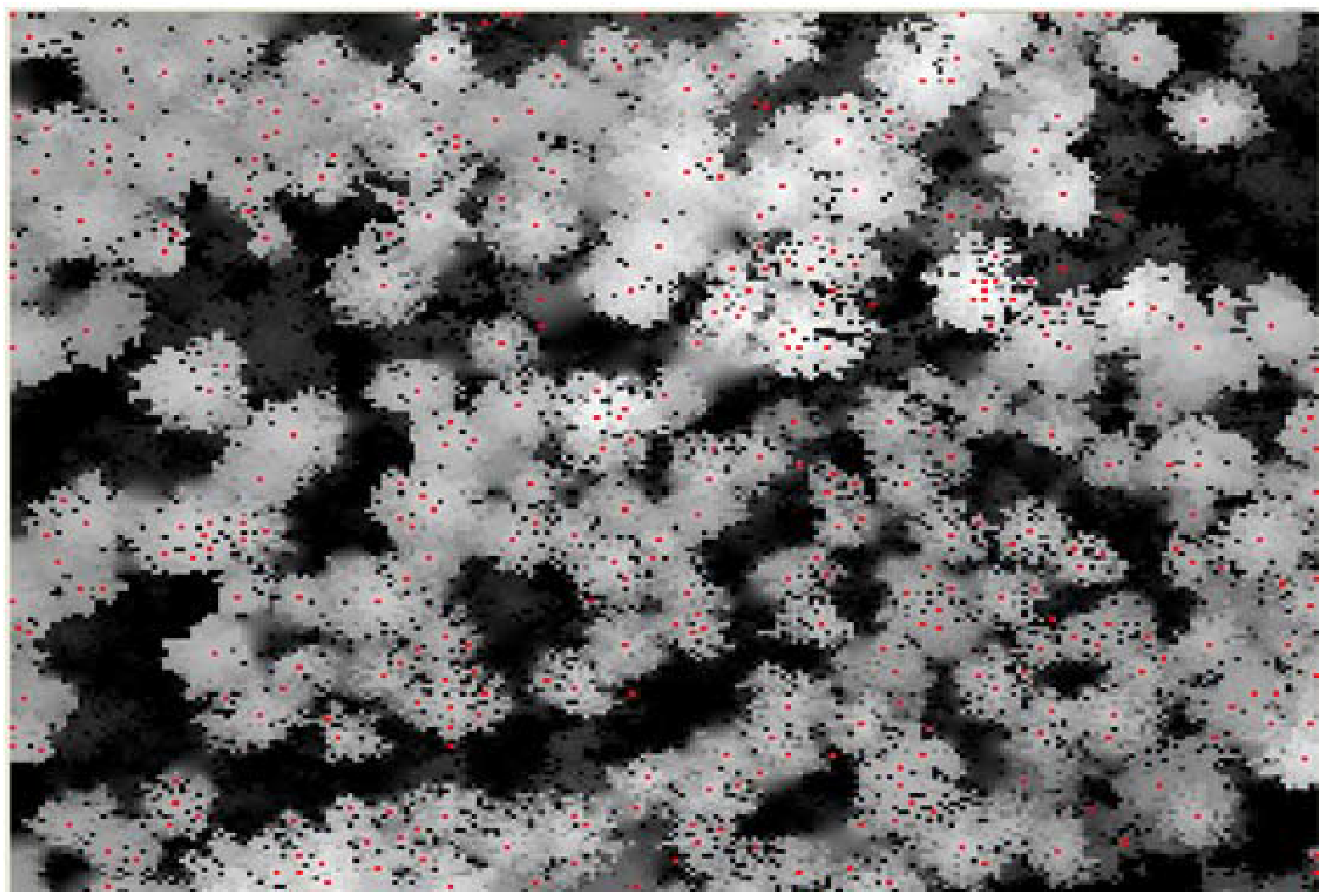 Remotesensing 02 00968 g006