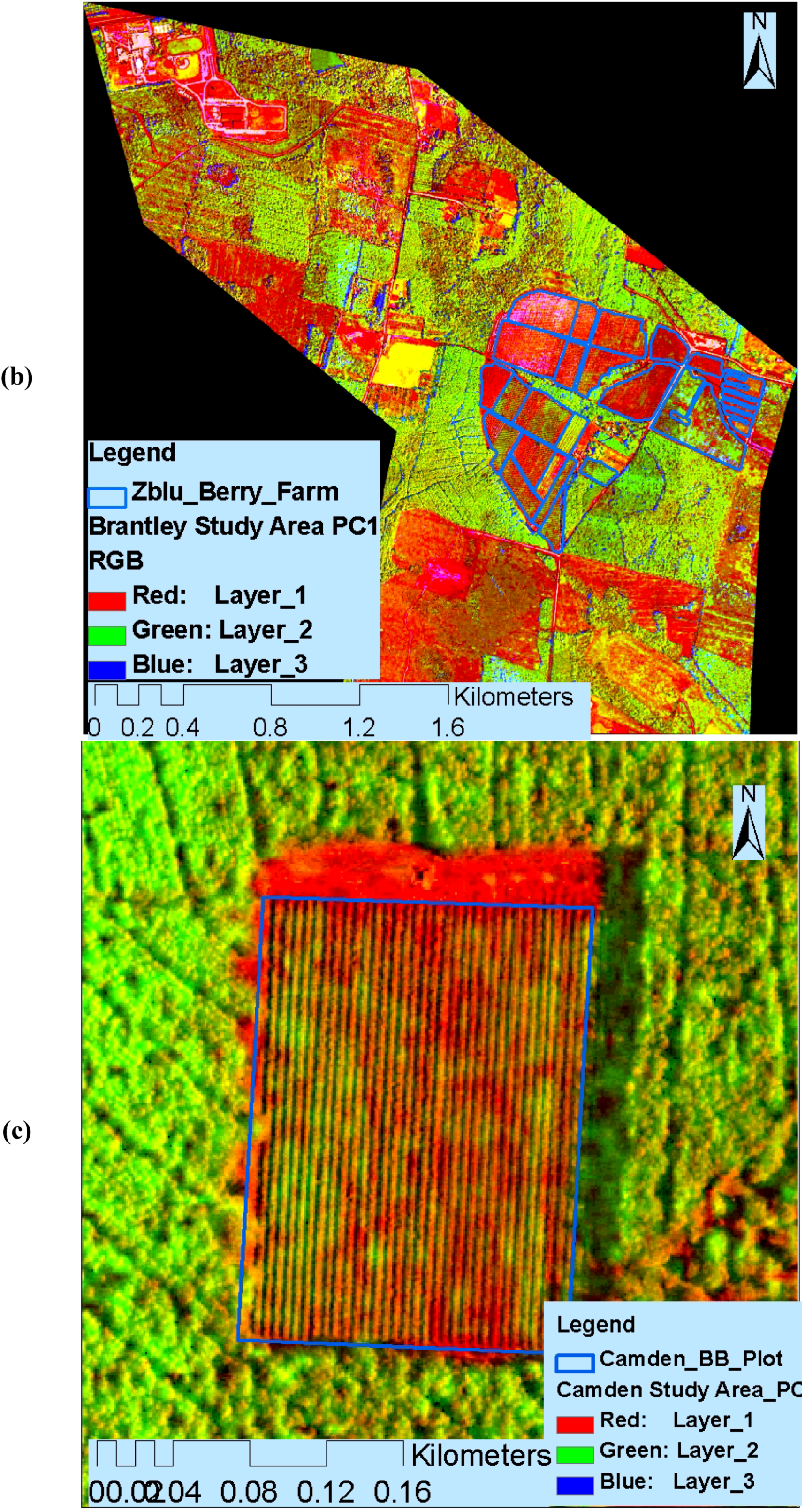 Remotesensing 02 01973 g002b 1024